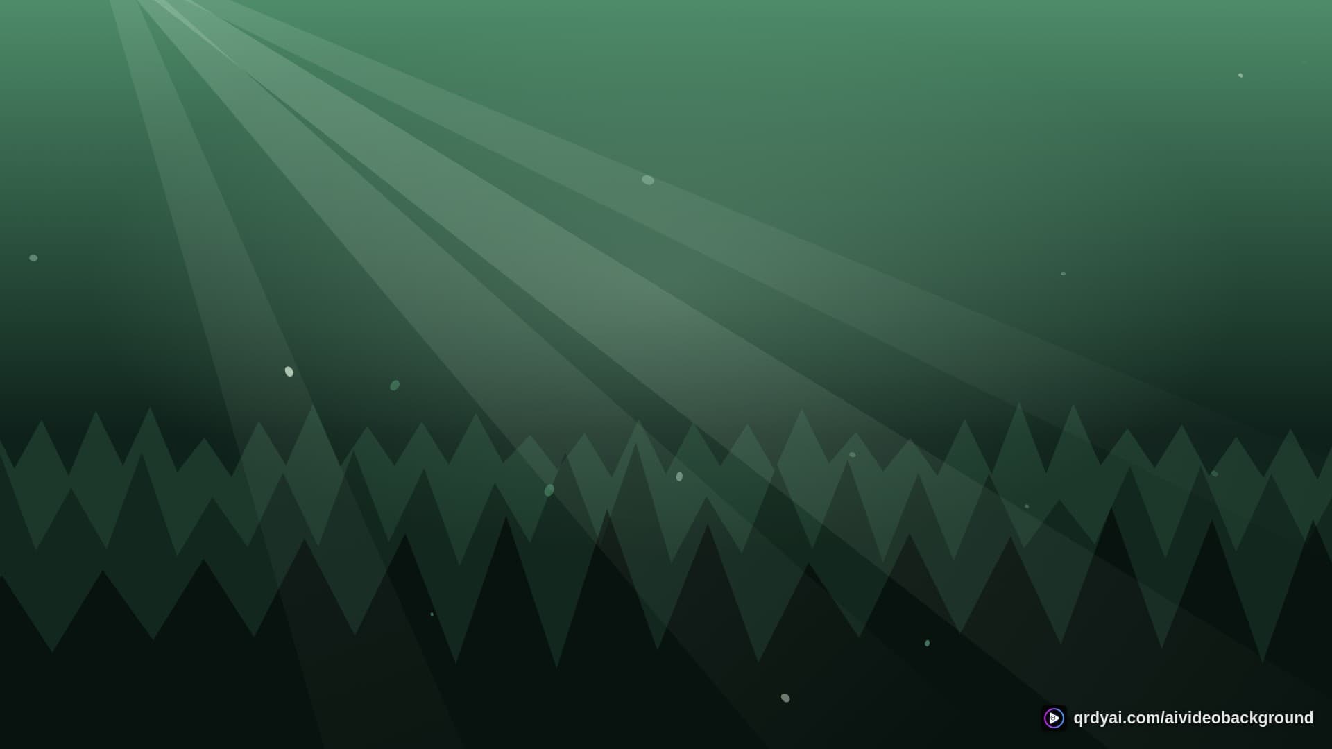 forest sunbeam landscape loop video background preview