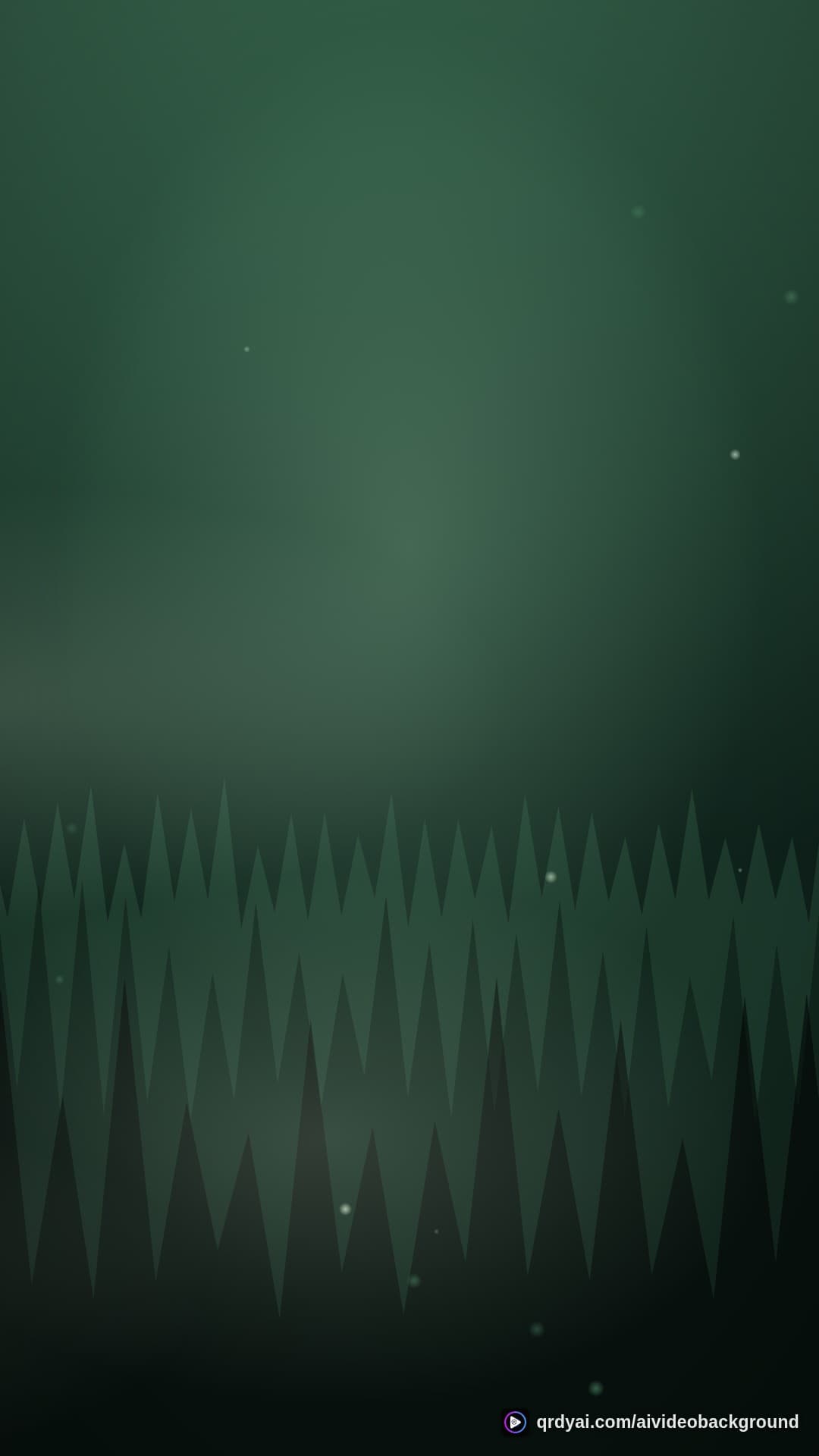 forest mist portrait loop video background preview