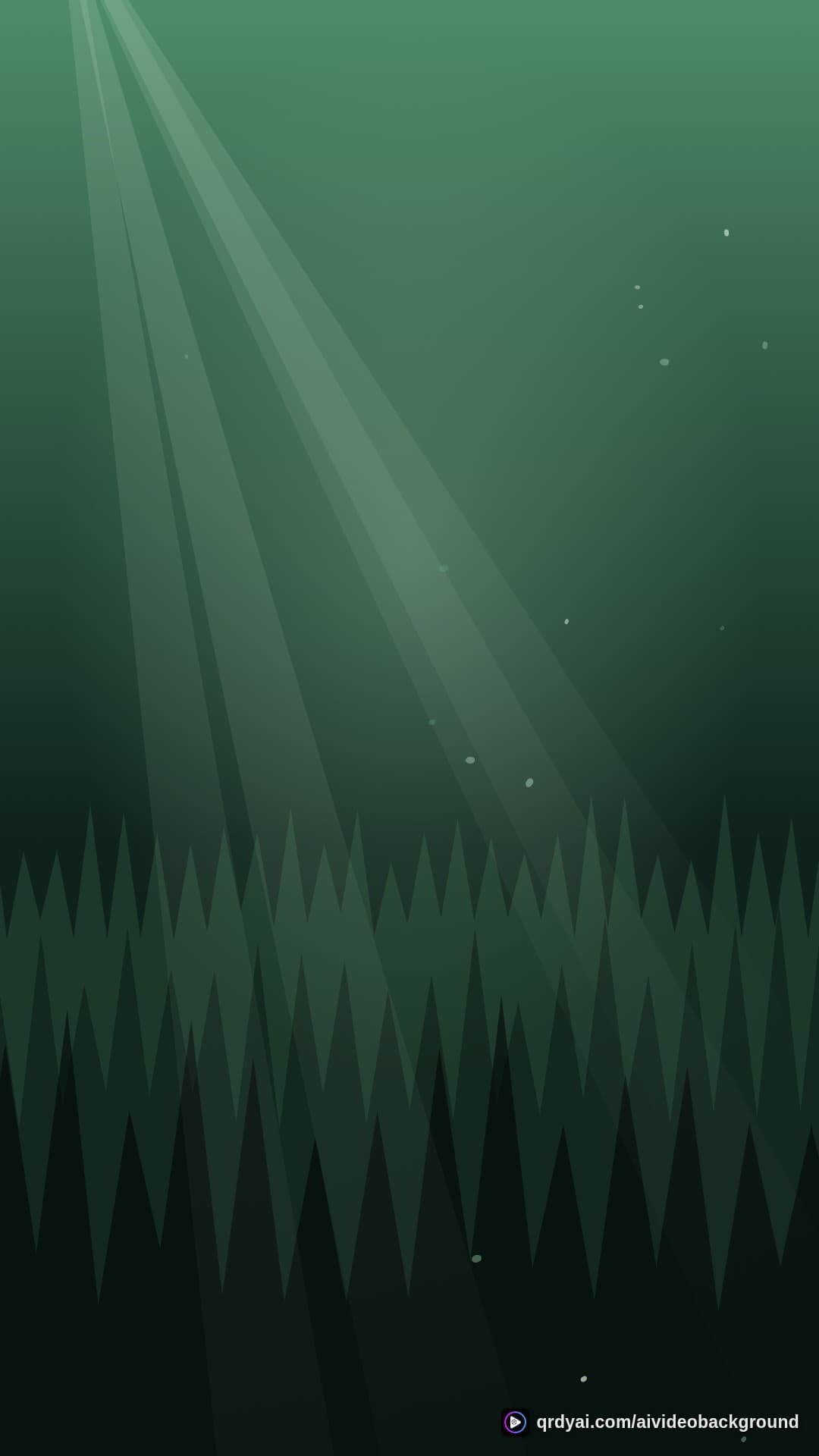 forest sunbeam portrait loop video background preview