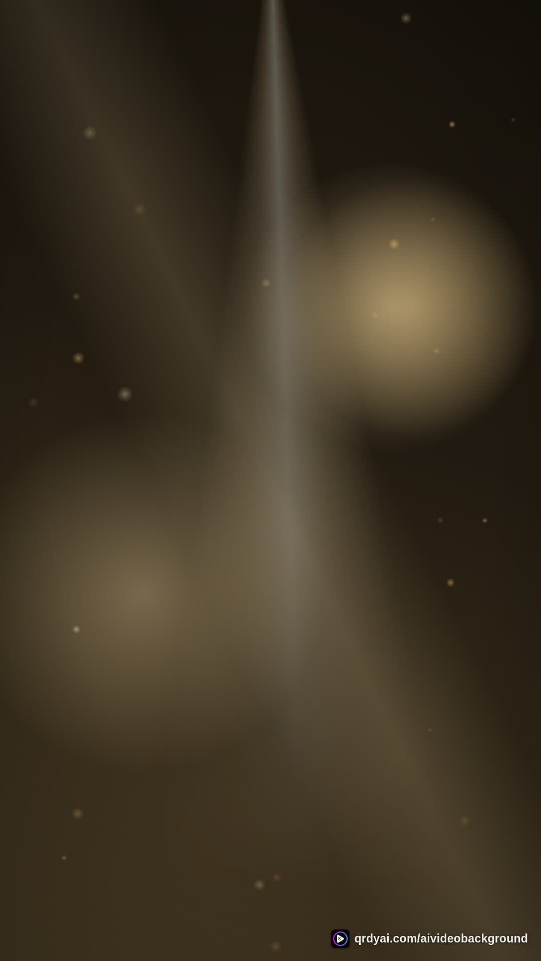 luxe gold portrait loop video background preview