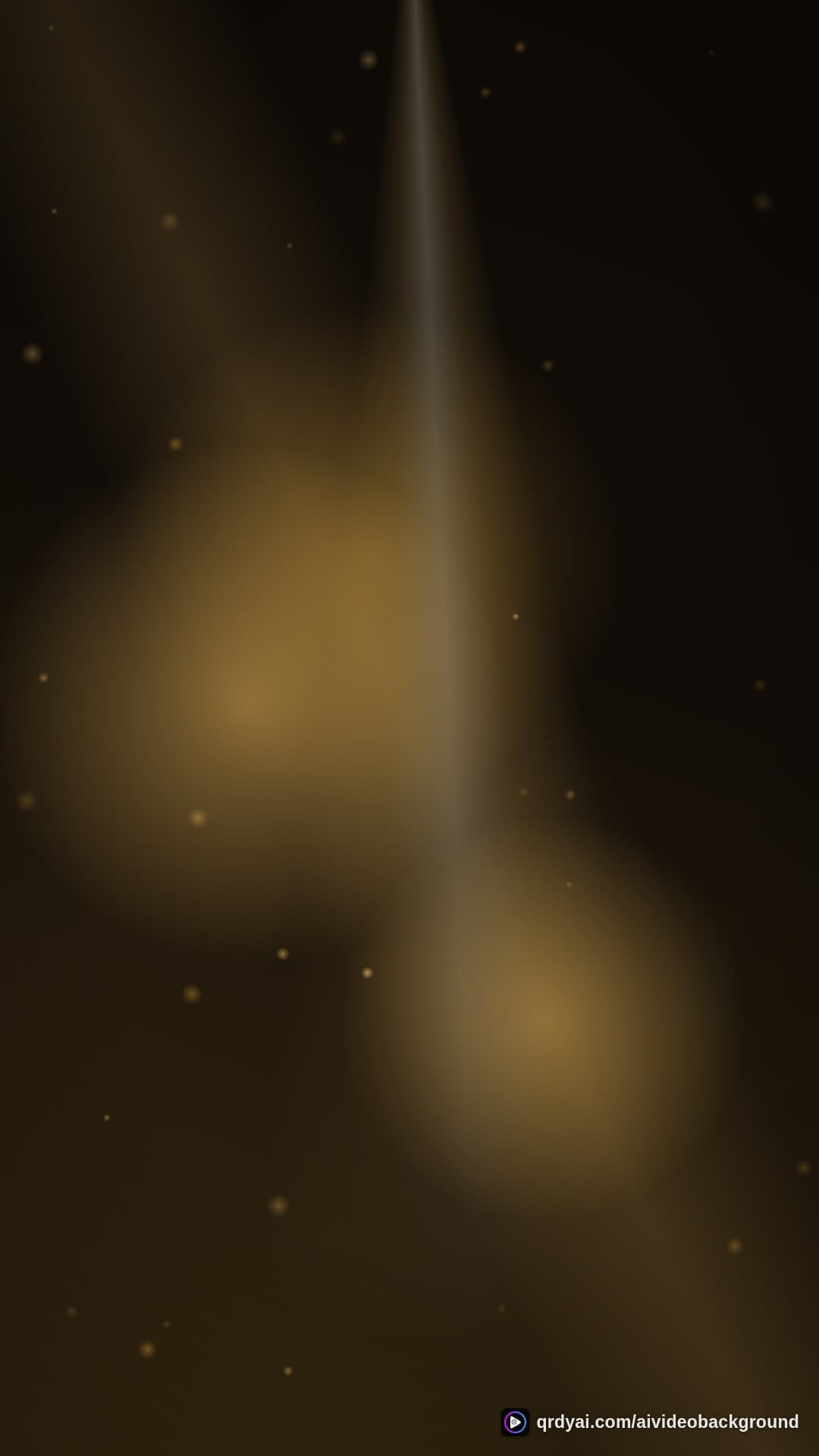 luxe gold portrait loop video background preview