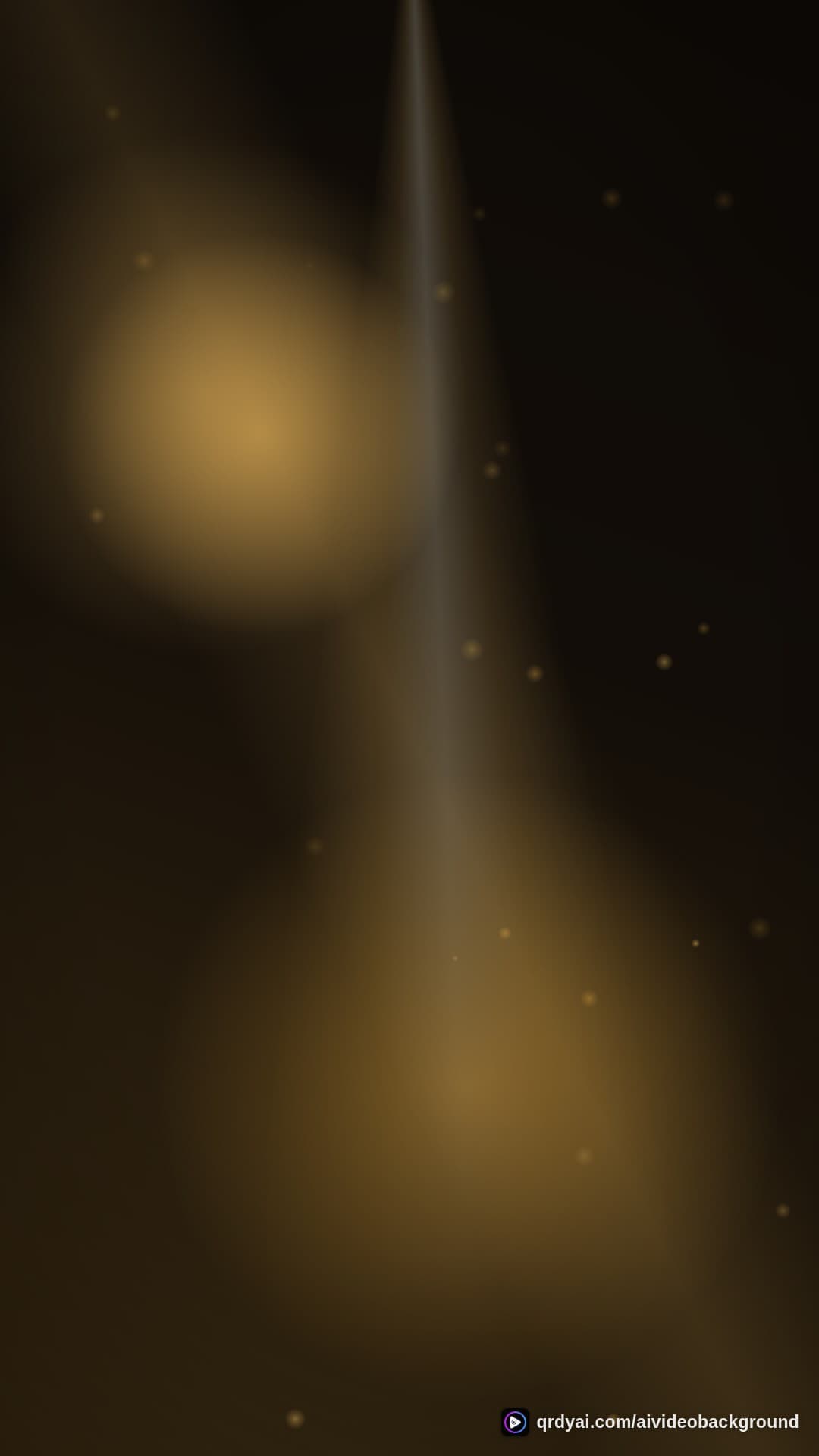 luxe gold portrait loop video background preview
