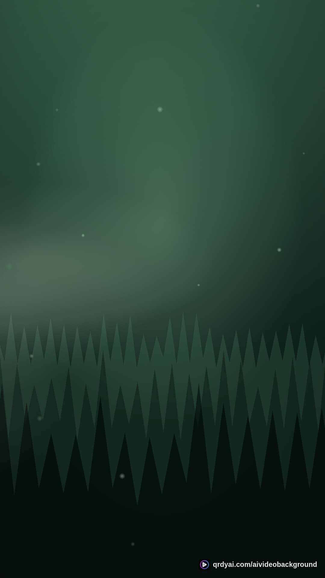 forest mist portrait loop video background preview