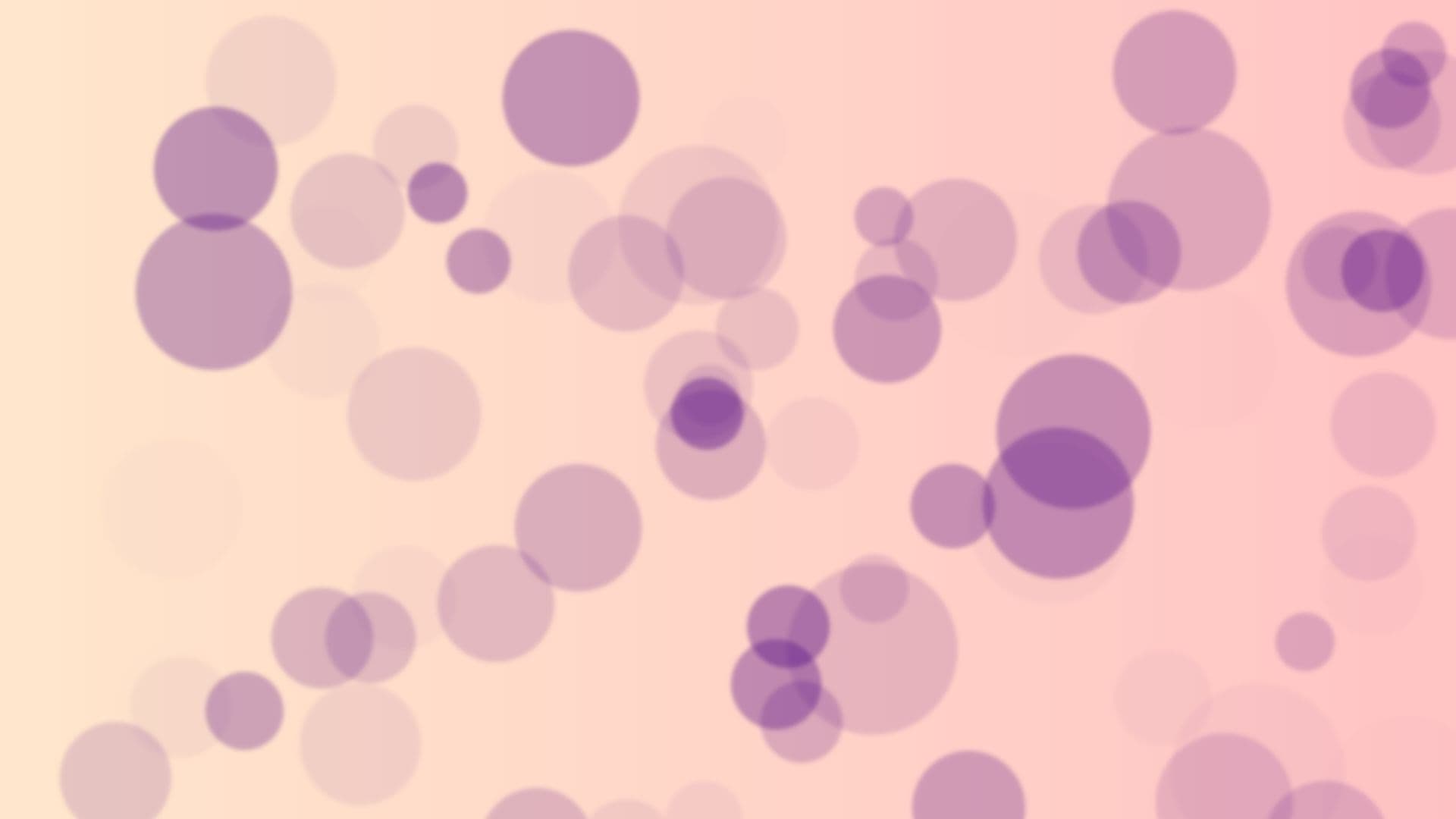 loop video  loop video background preview