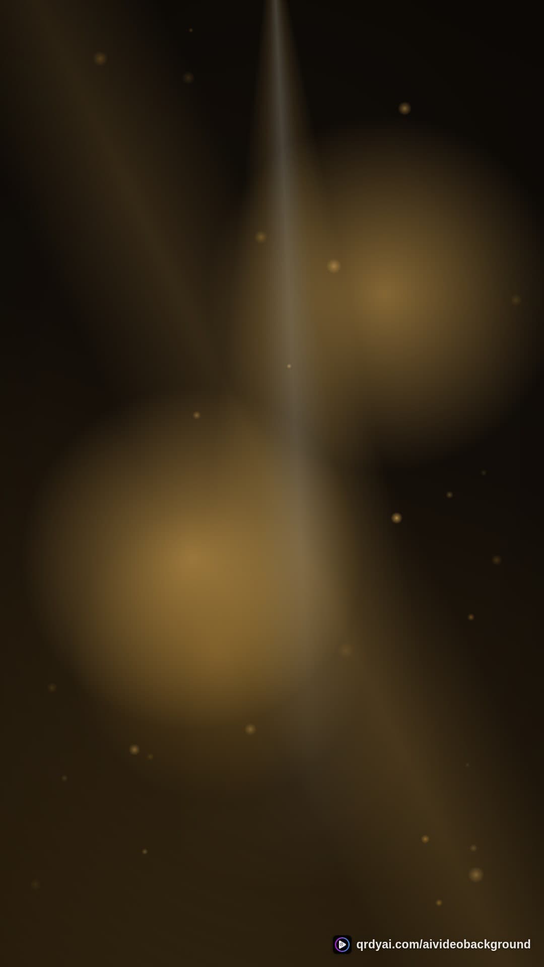 luxe gold portrait loop video background preview