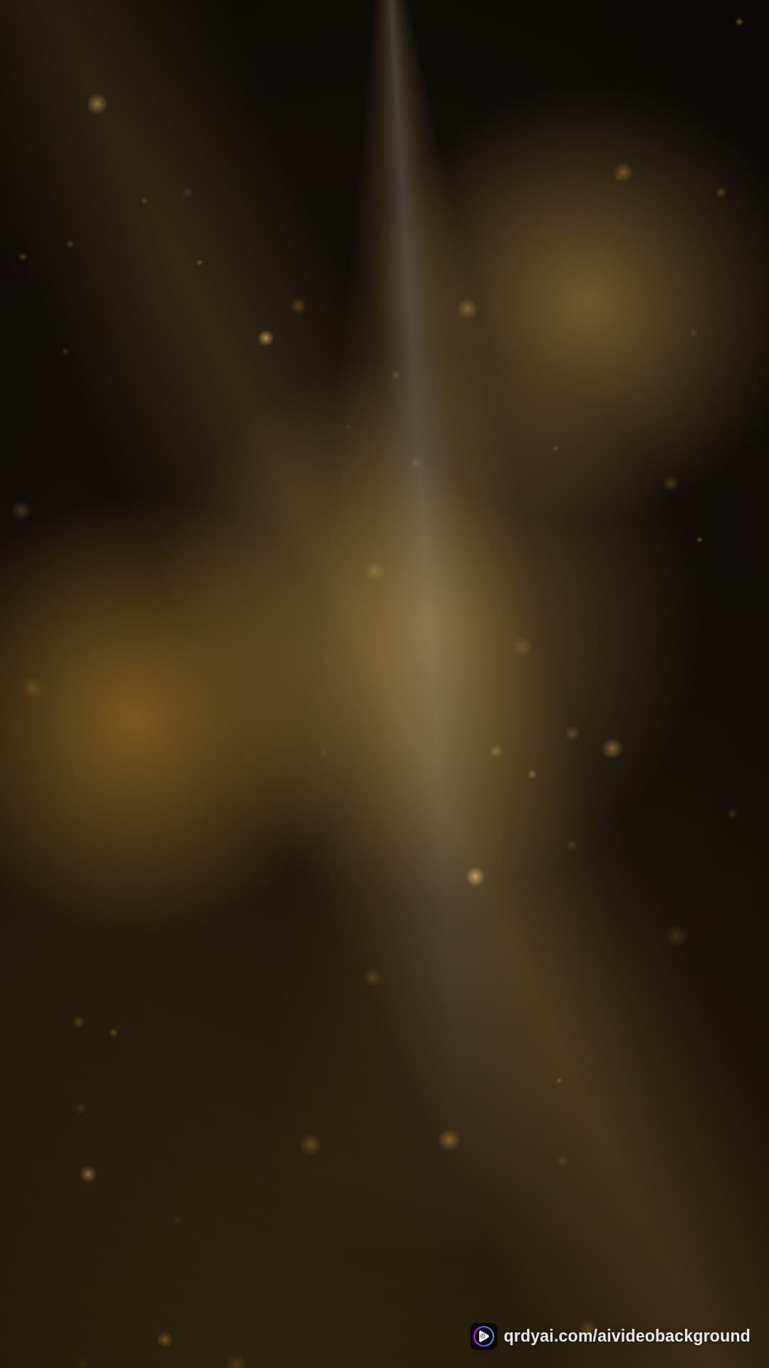 luxe gold portrait loop video background preview
