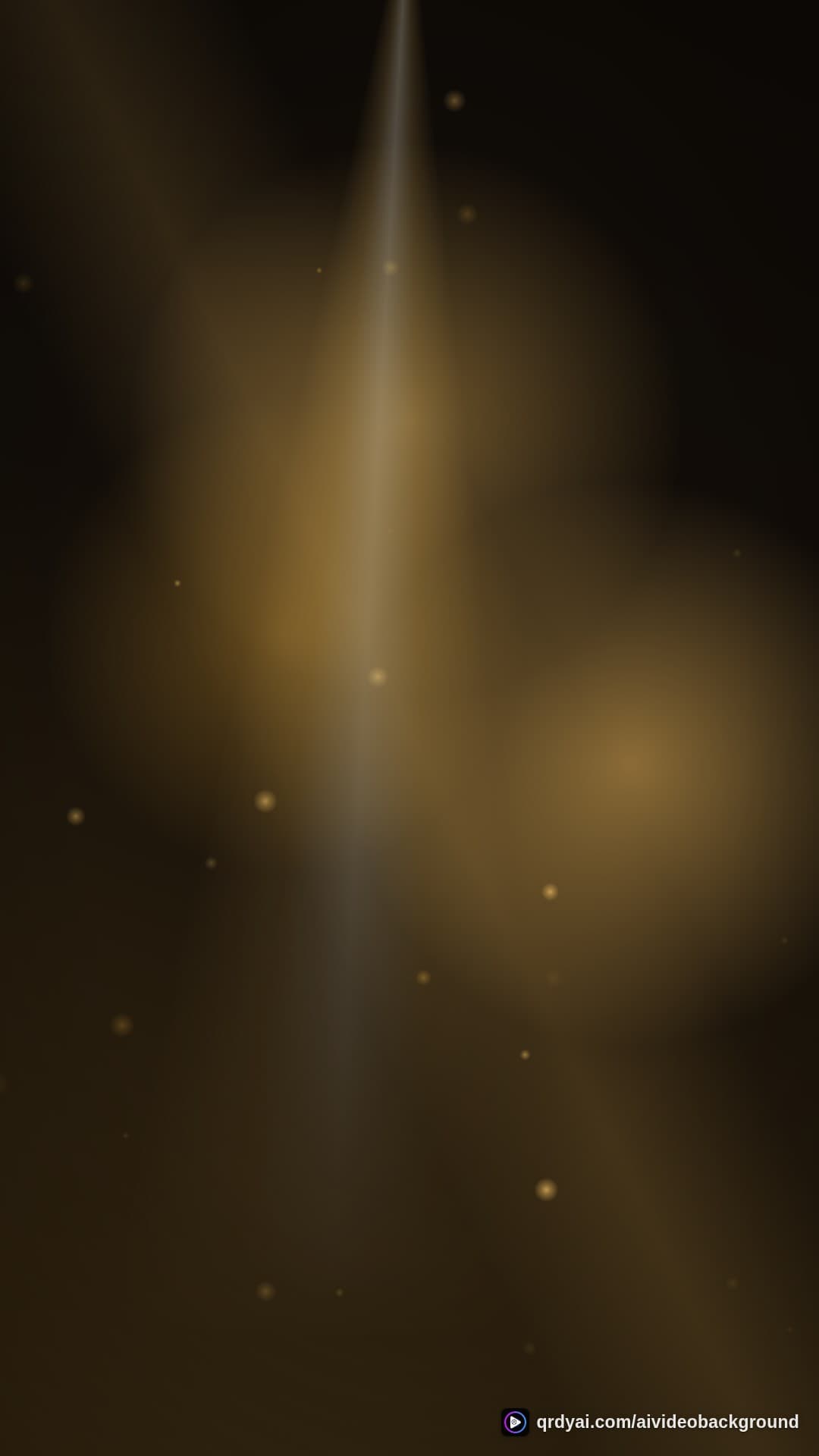 luxe gold portrait loop video background preview