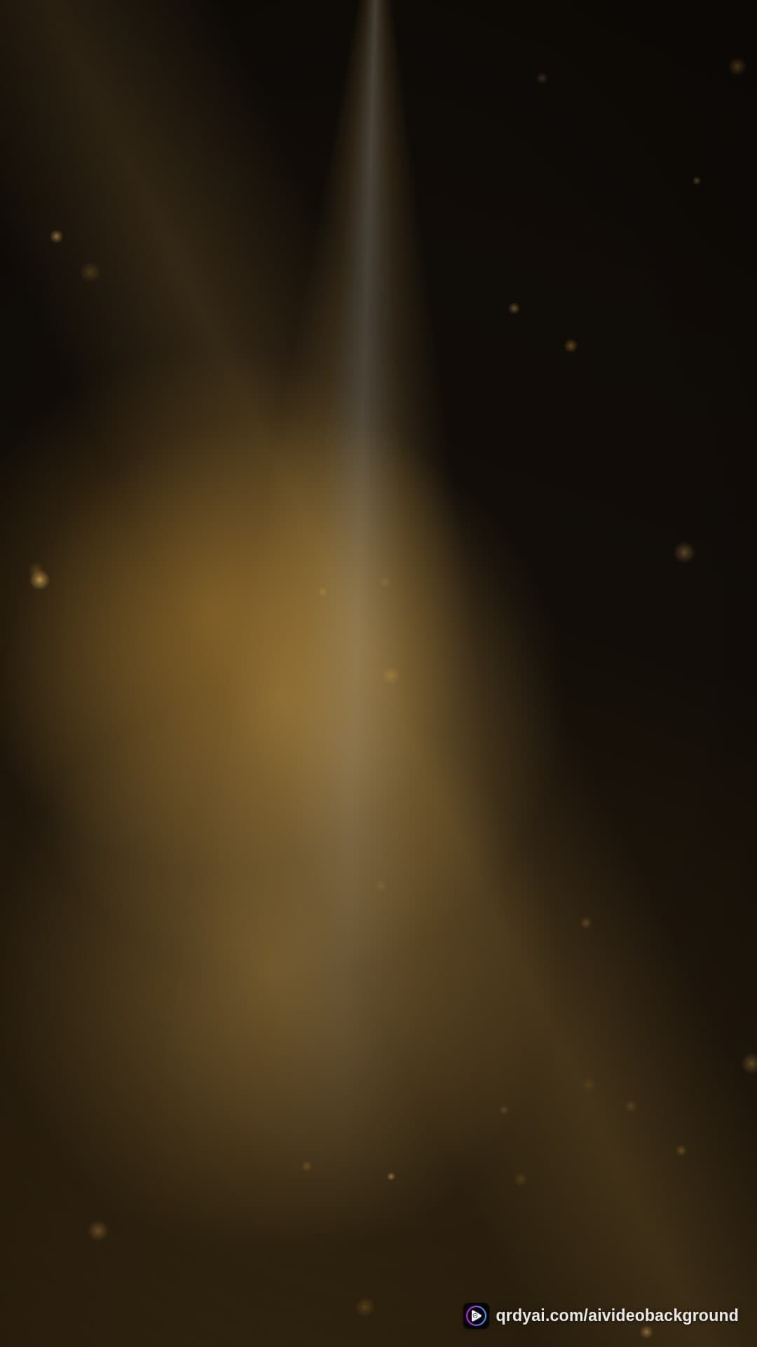 luxe gold portrait loop video background preview
