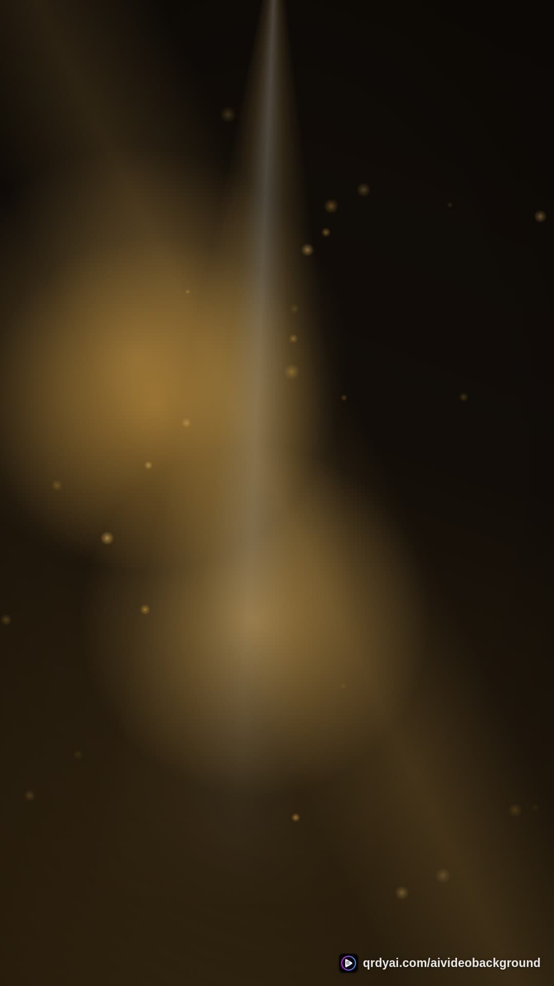 luxe gold portrait loop video background preview