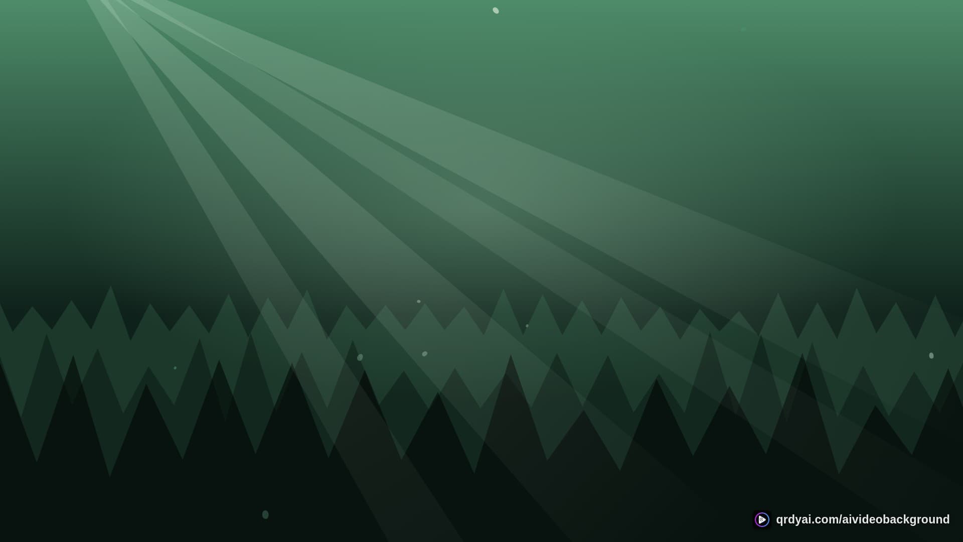 forest sunbeam landscape loop video background preview