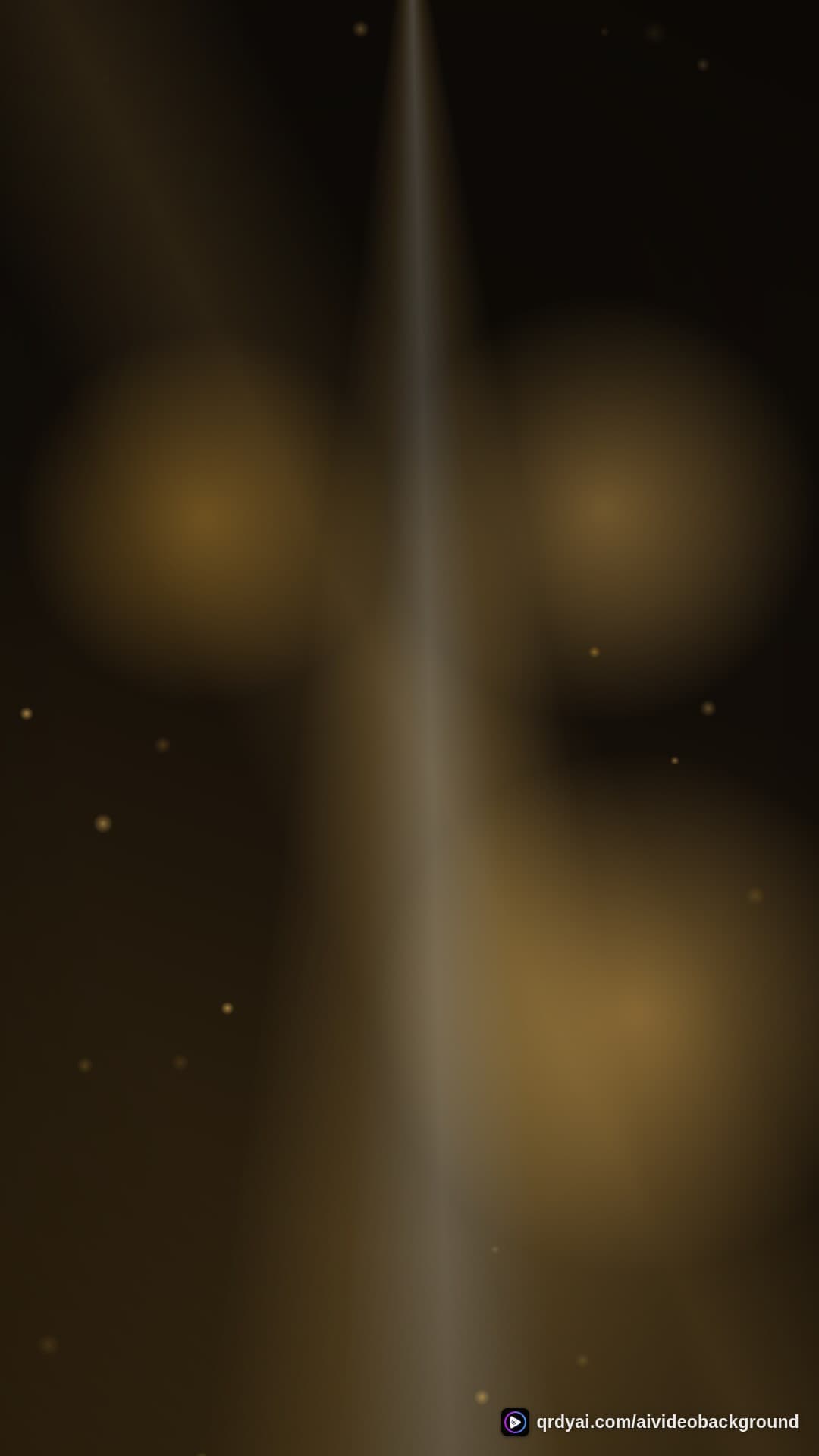 luxe gold portrait loop video background preview