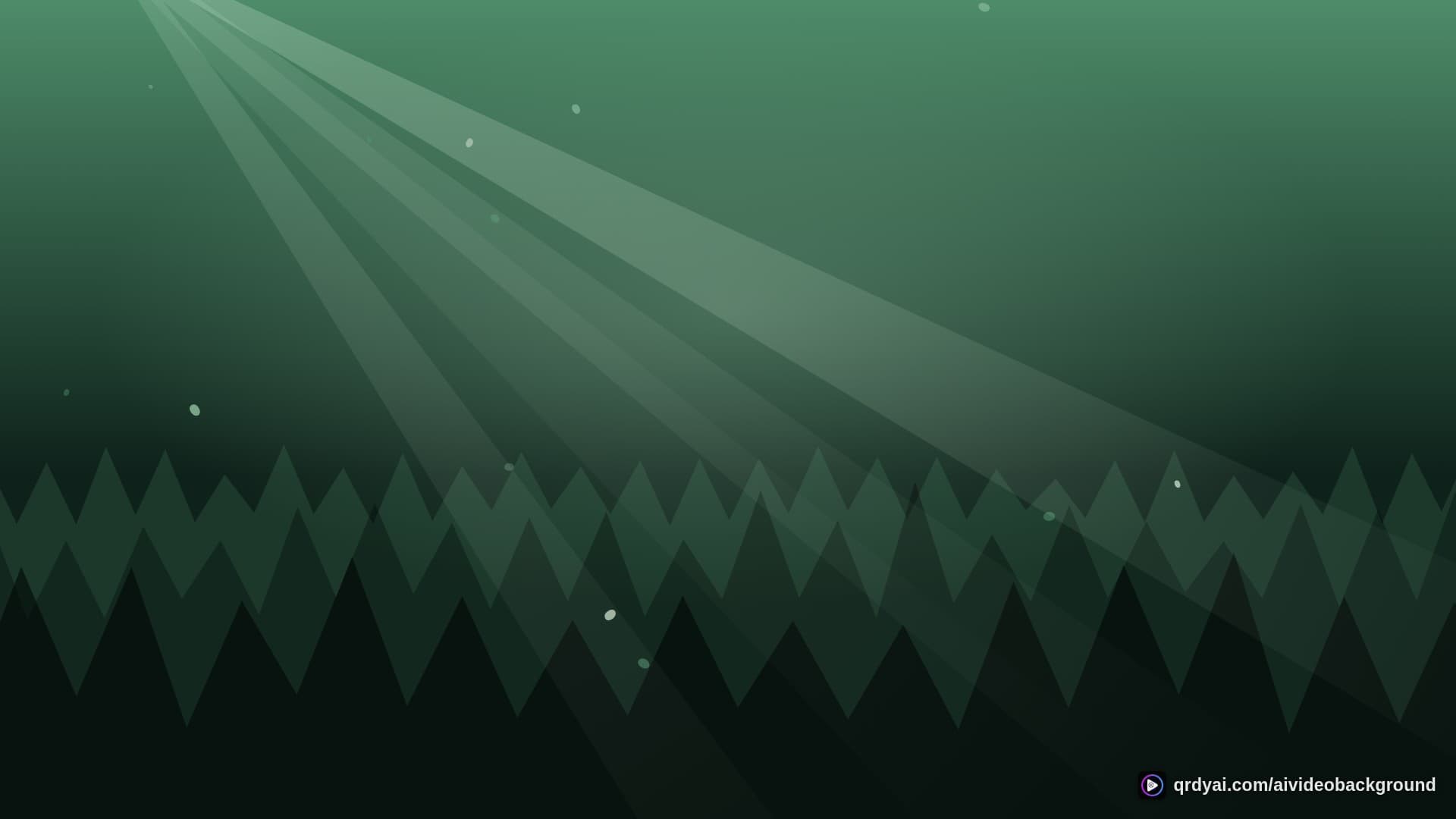 forest sunbeam landscape loop video background preview