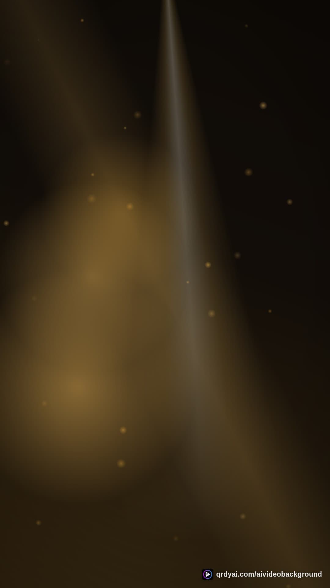 luxe gold portrait loop video background preview