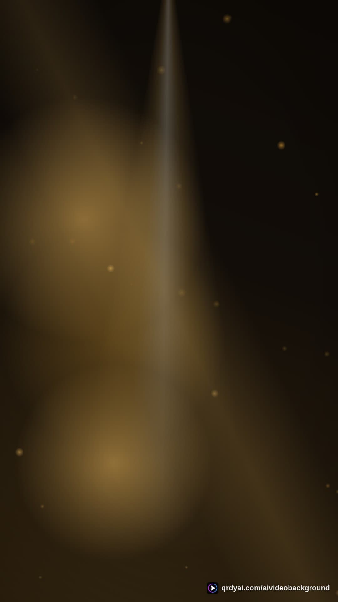luxe gold portrait loop video background preview