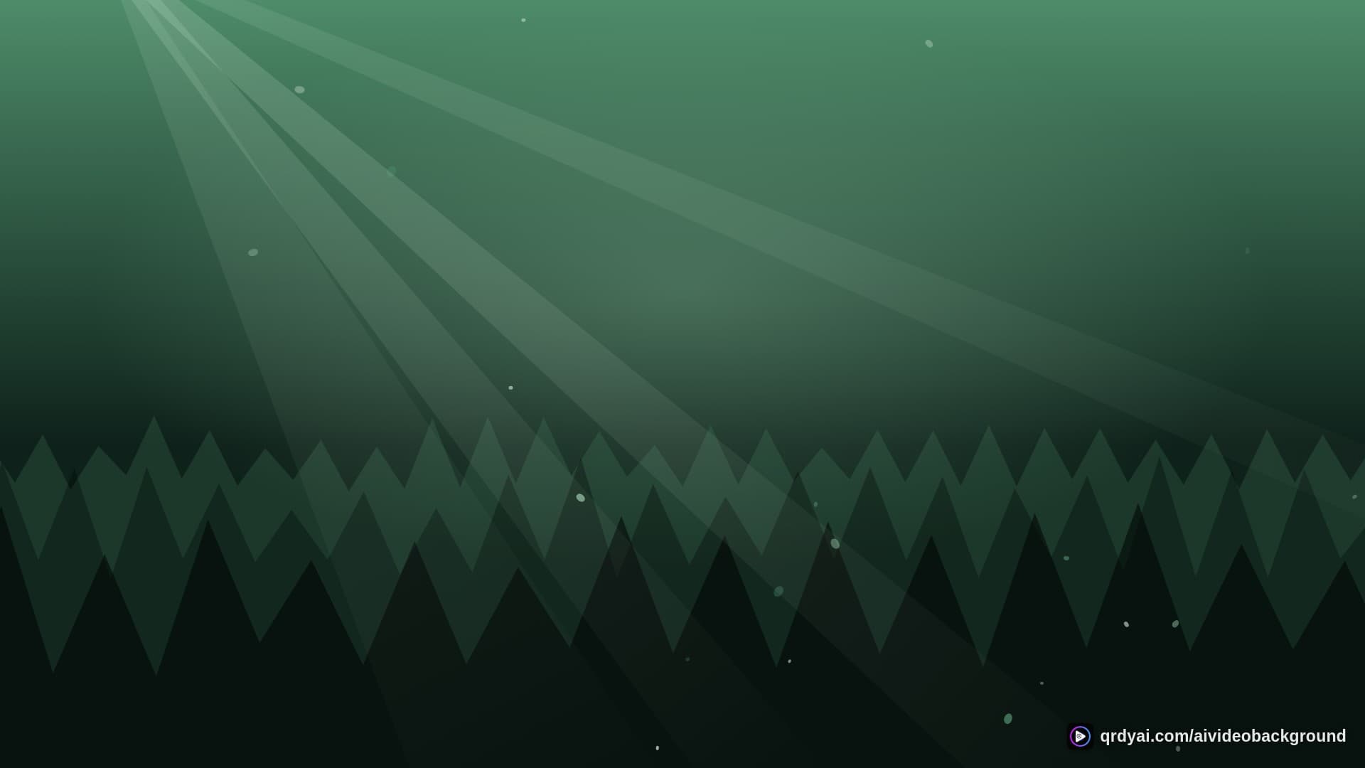 forest sunbeam landscape loop video background preview