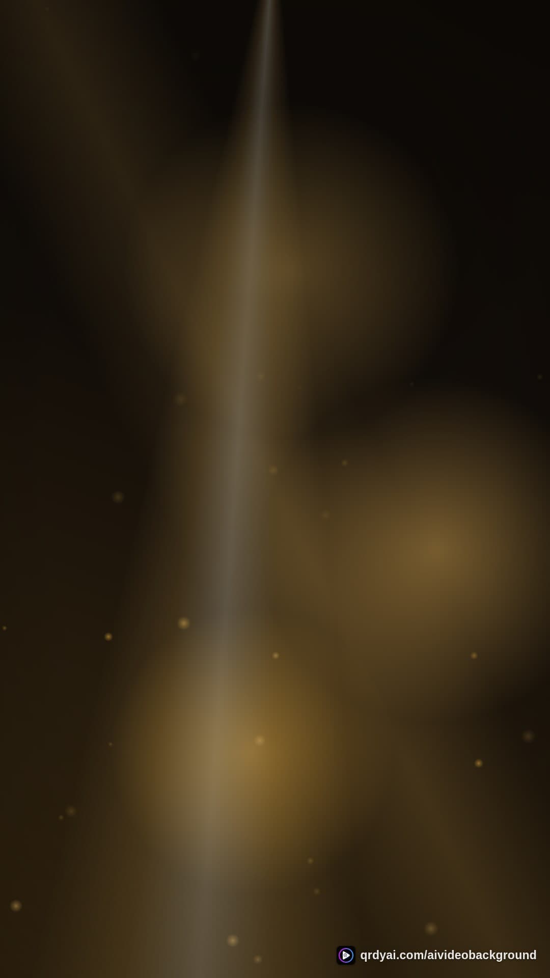 luxe gold portrait loop video background preview