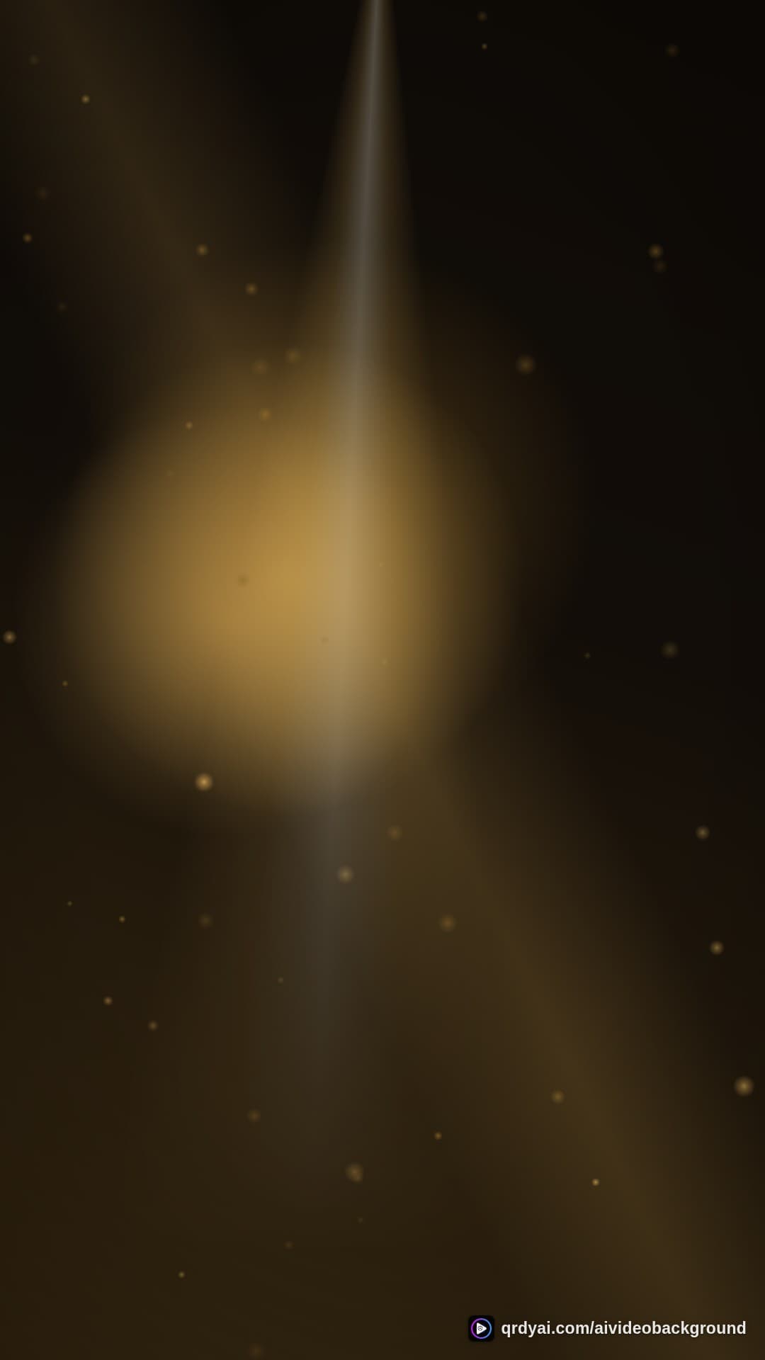 luxe gold portrait loop video background preview