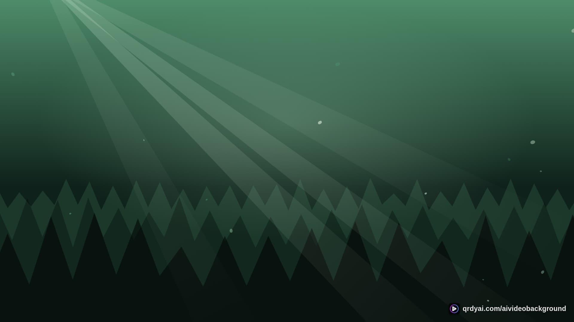 forest sunbeam landscape loop video background preview