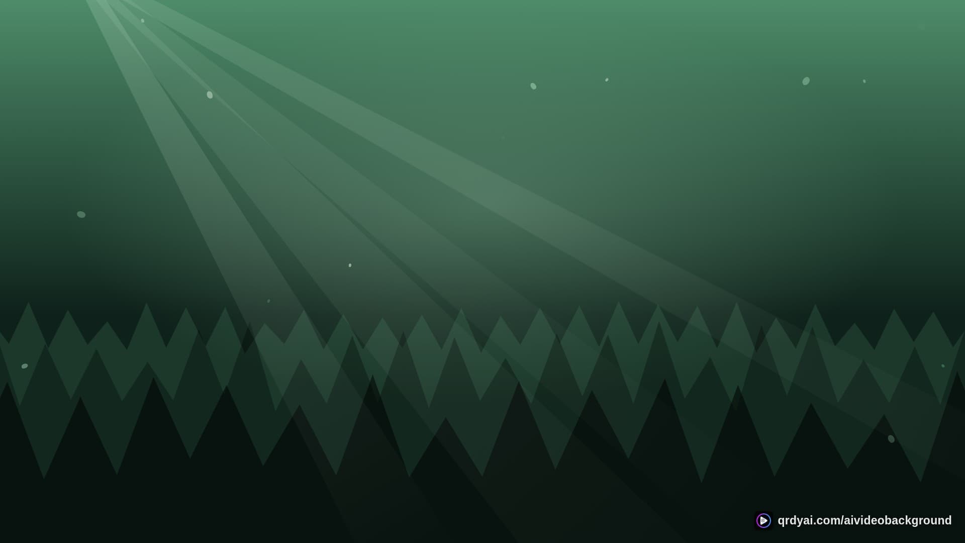 forest sunbeam landscape loop video background preview