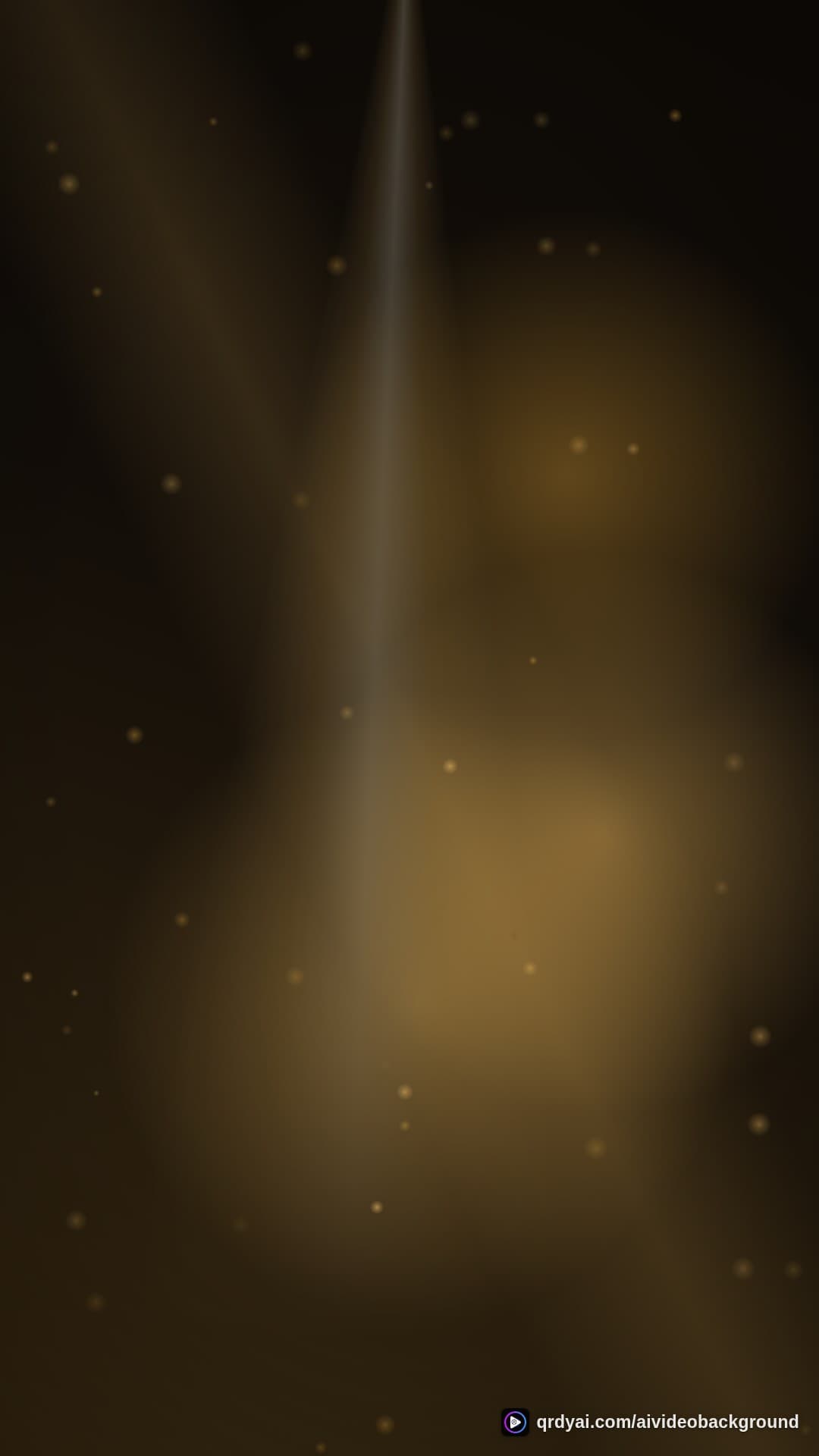 luxe gold portrait loop video background preview