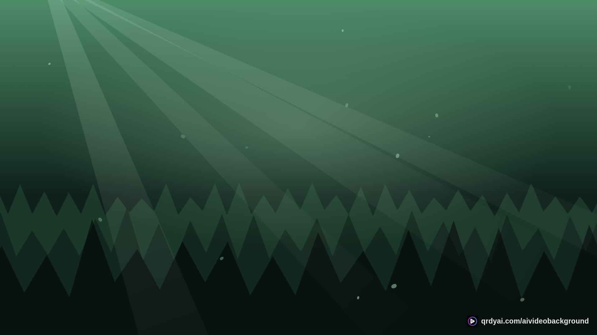 forest sunbeam landscape loop video background preview