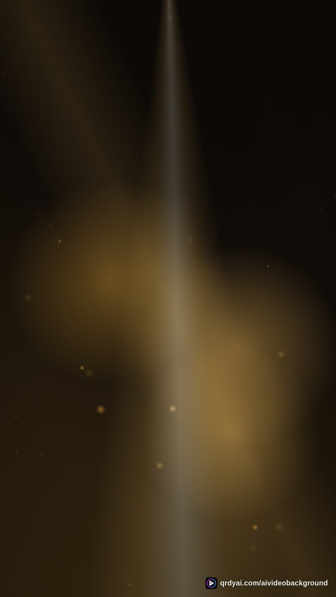 luxe gold portrait loop video background preview
