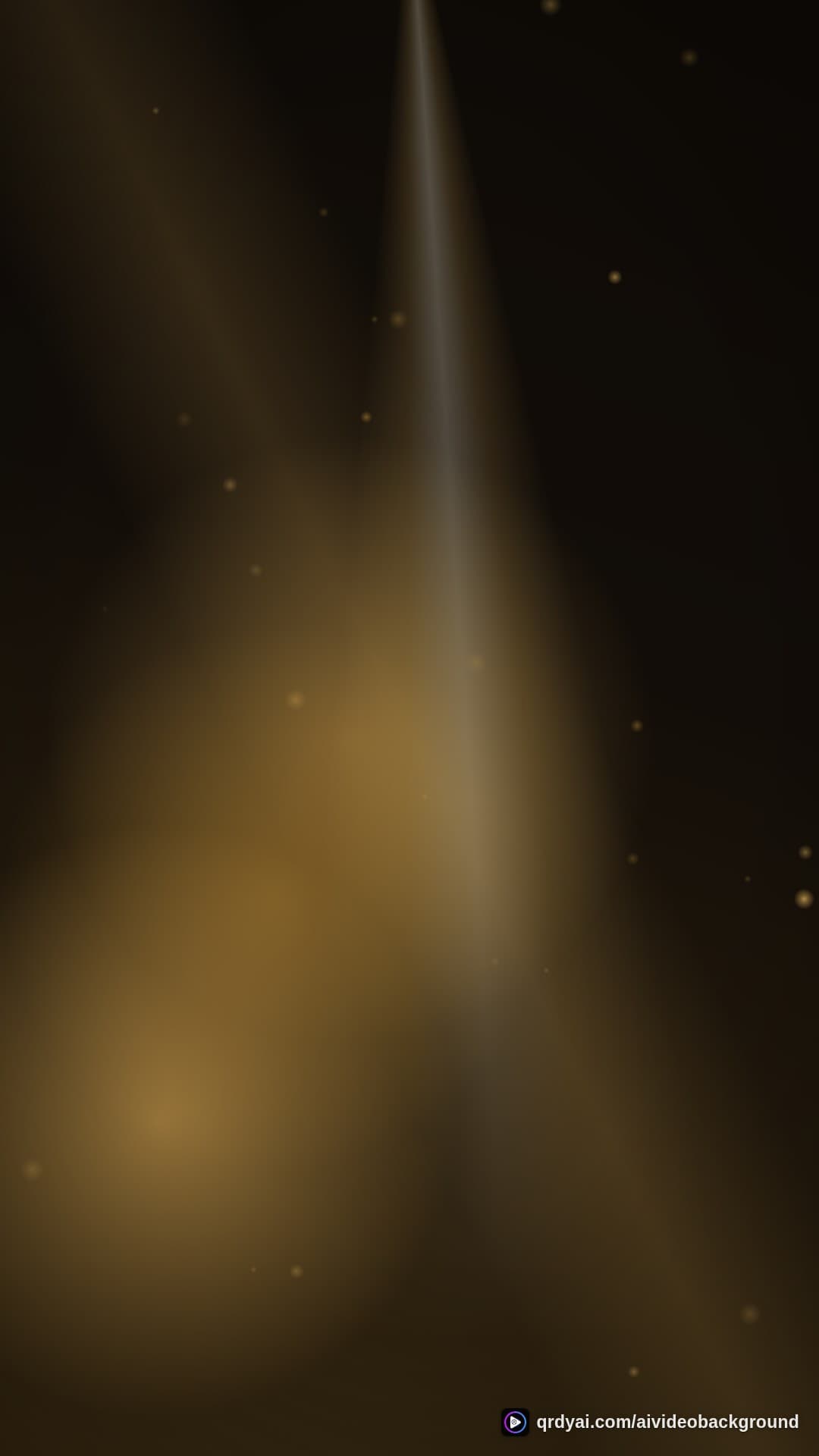 luxe gold portrait loop video background preview