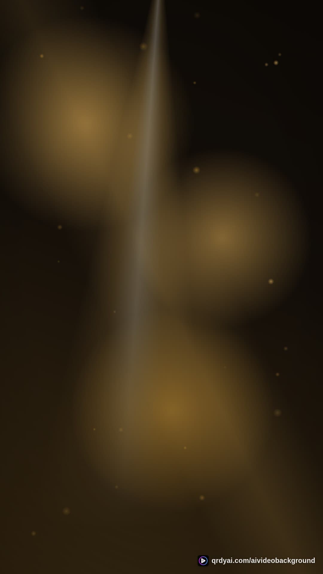 luxe gold portrait loop video background preview