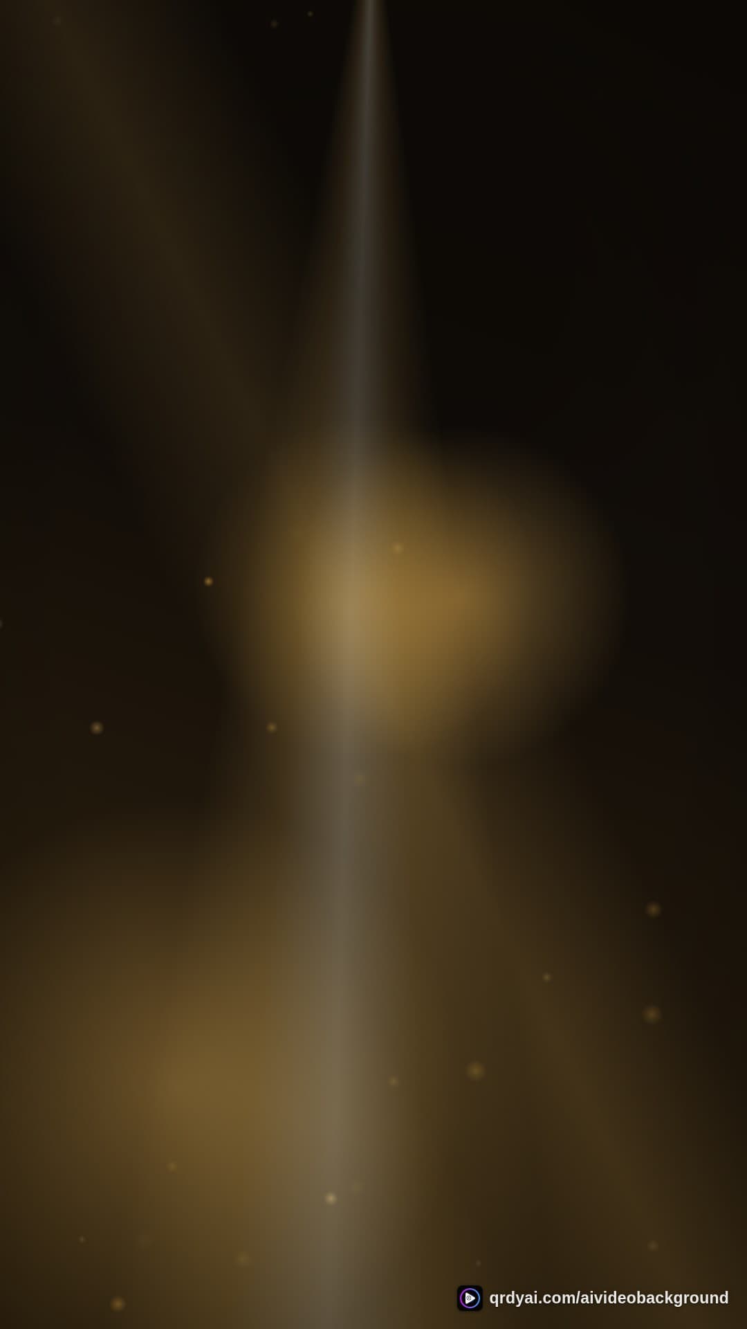 luxe gold portrait loop video background preview