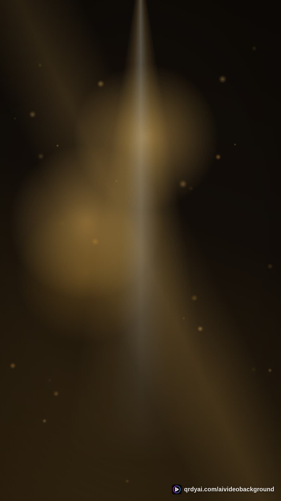 luxe gold portrait loop video background preview