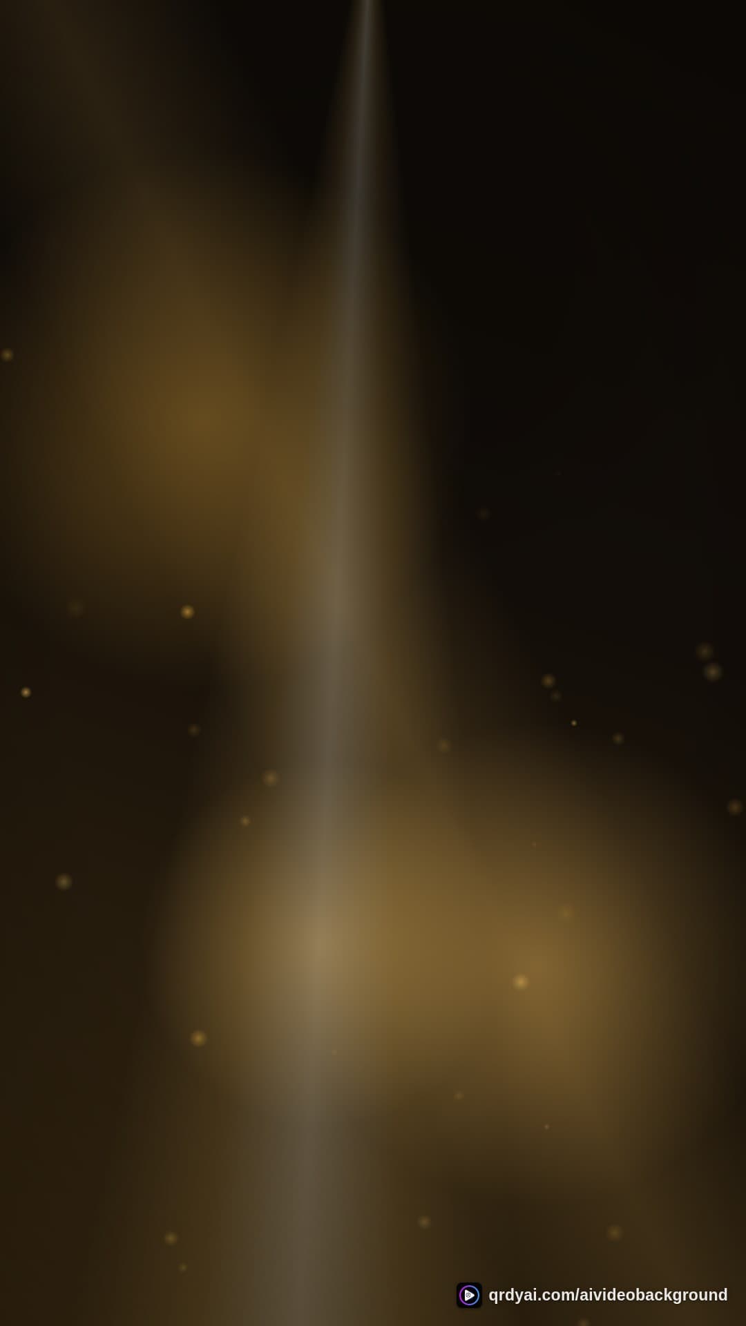 luxe gold portrait loop video background preview