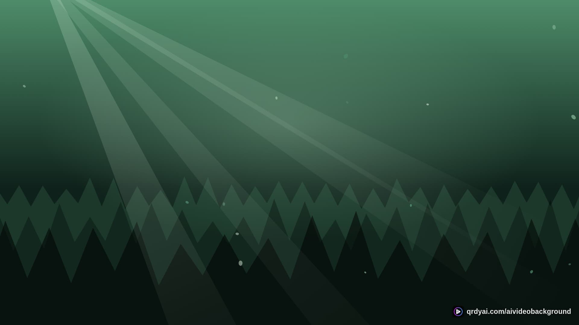 forest sunbeam landscape loop video background preview