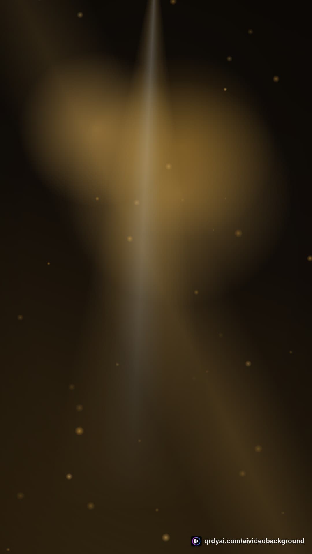 luxe gold portrait loop video background preview