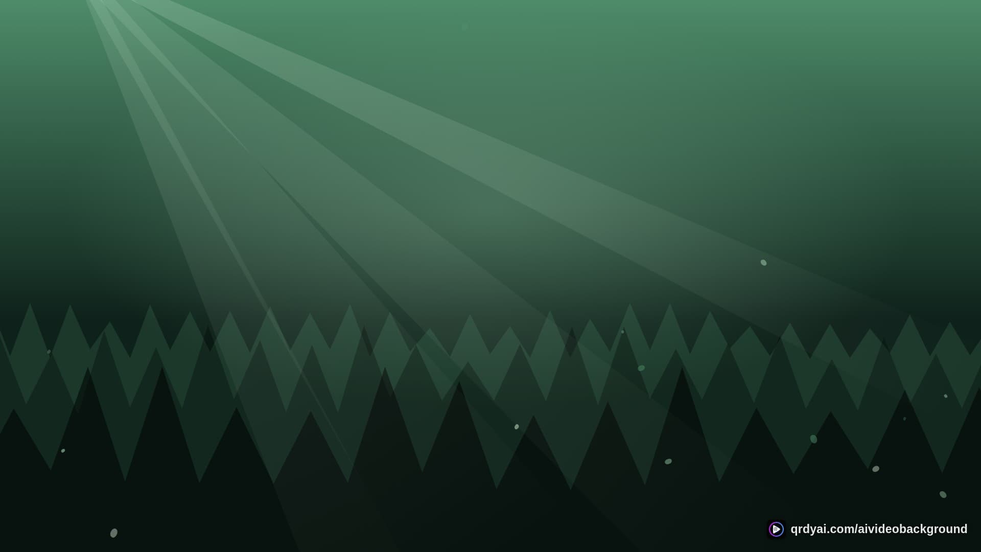forest sunbeam landscape loop video background preview