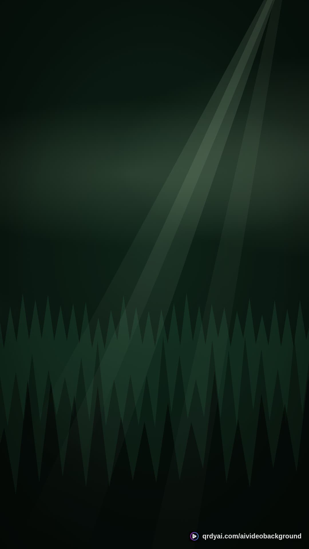 forest deep portrait loop video background preview