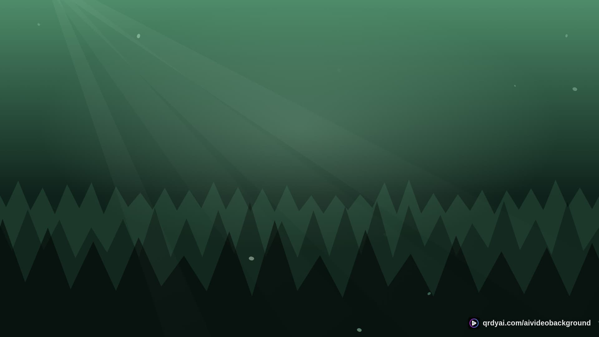 forest sunbeam landscape loop video background preview