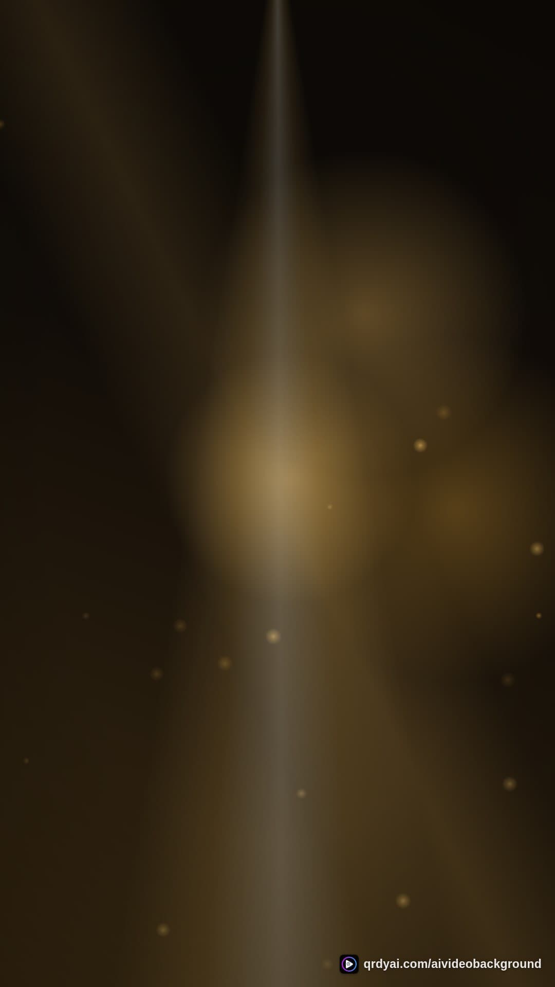 luxe gold portrait loop video background preview