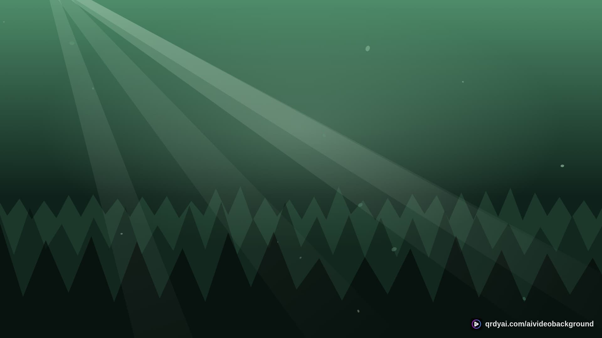 forest sunbeam landscape loop video background preview