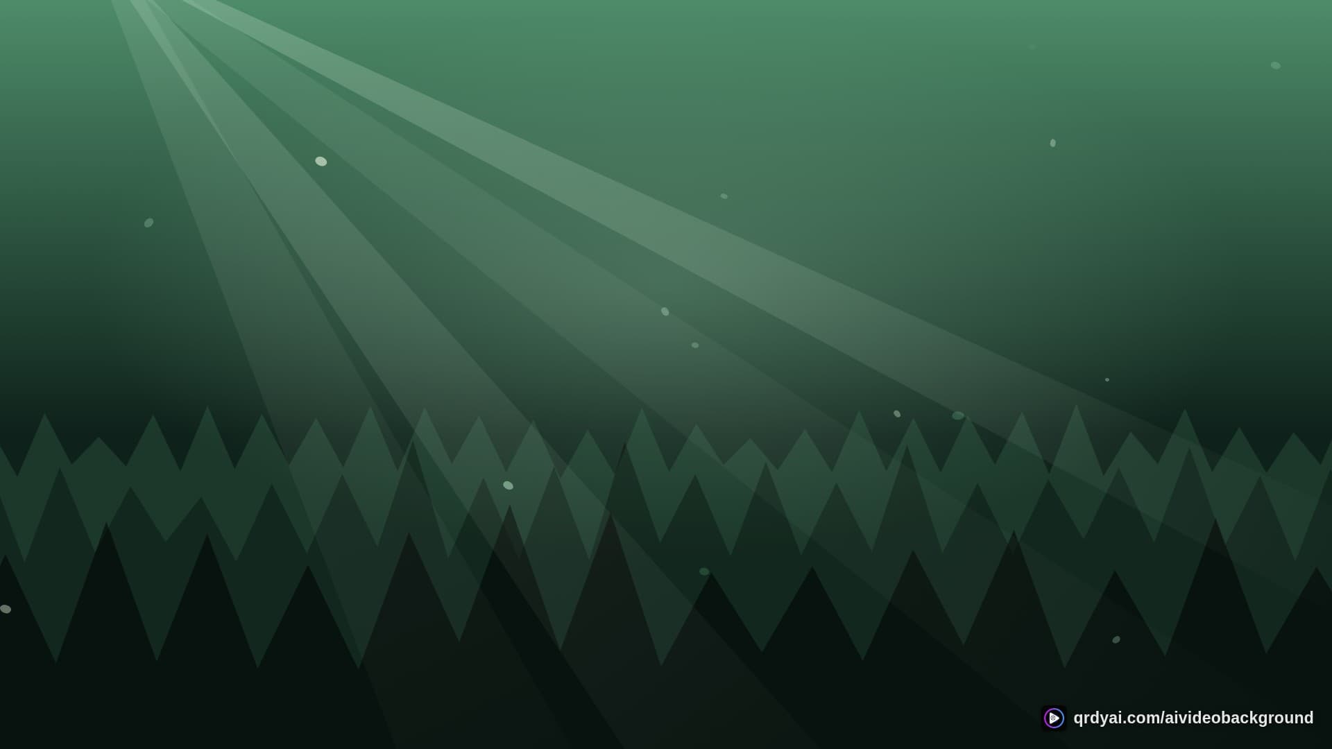forest sunbeam landscape loop video background preview