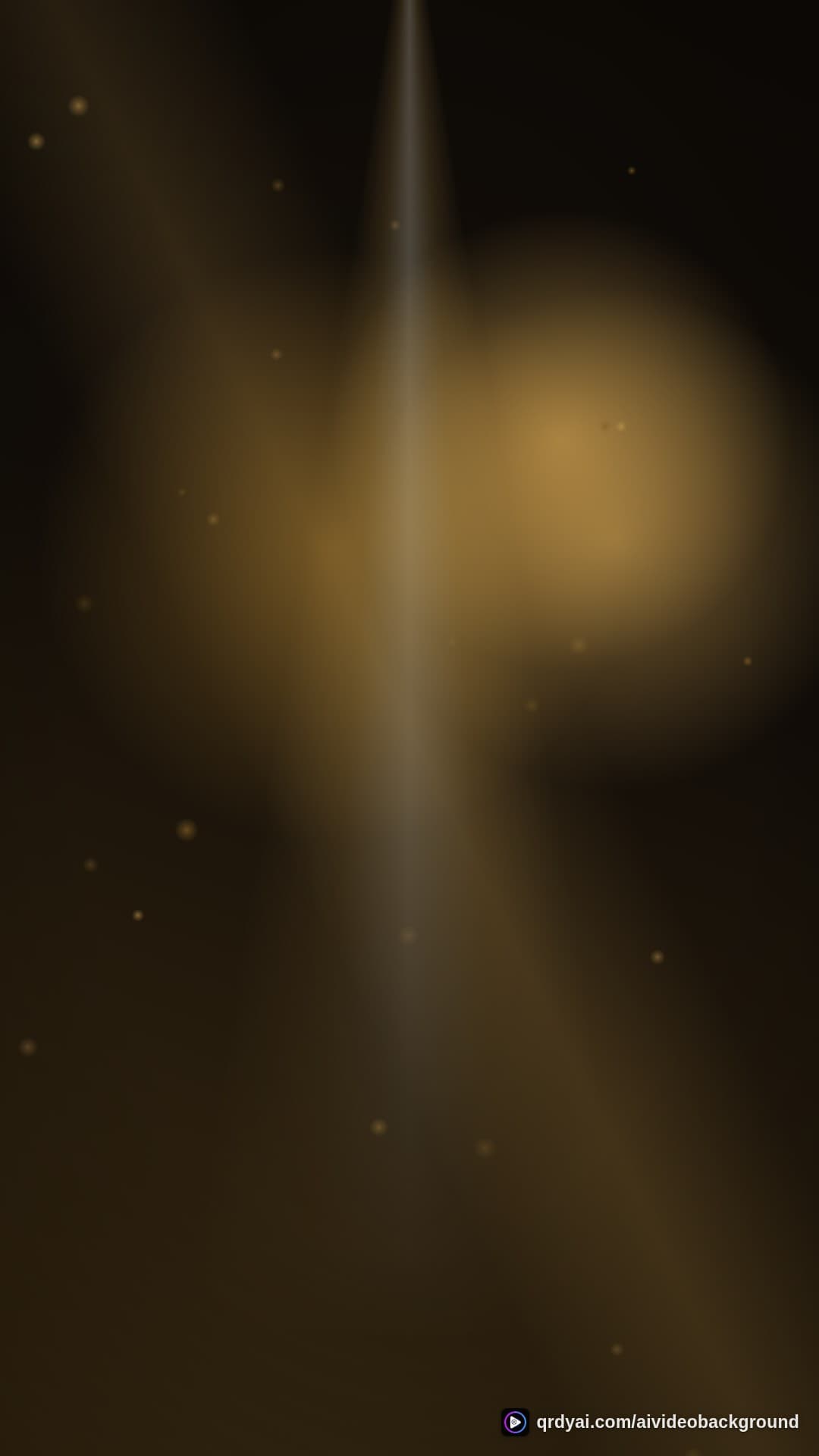 luxe gold portrait loop video background preview