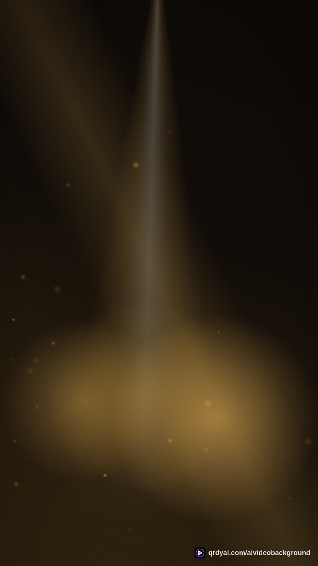 luxe gold portrait loop video background preview