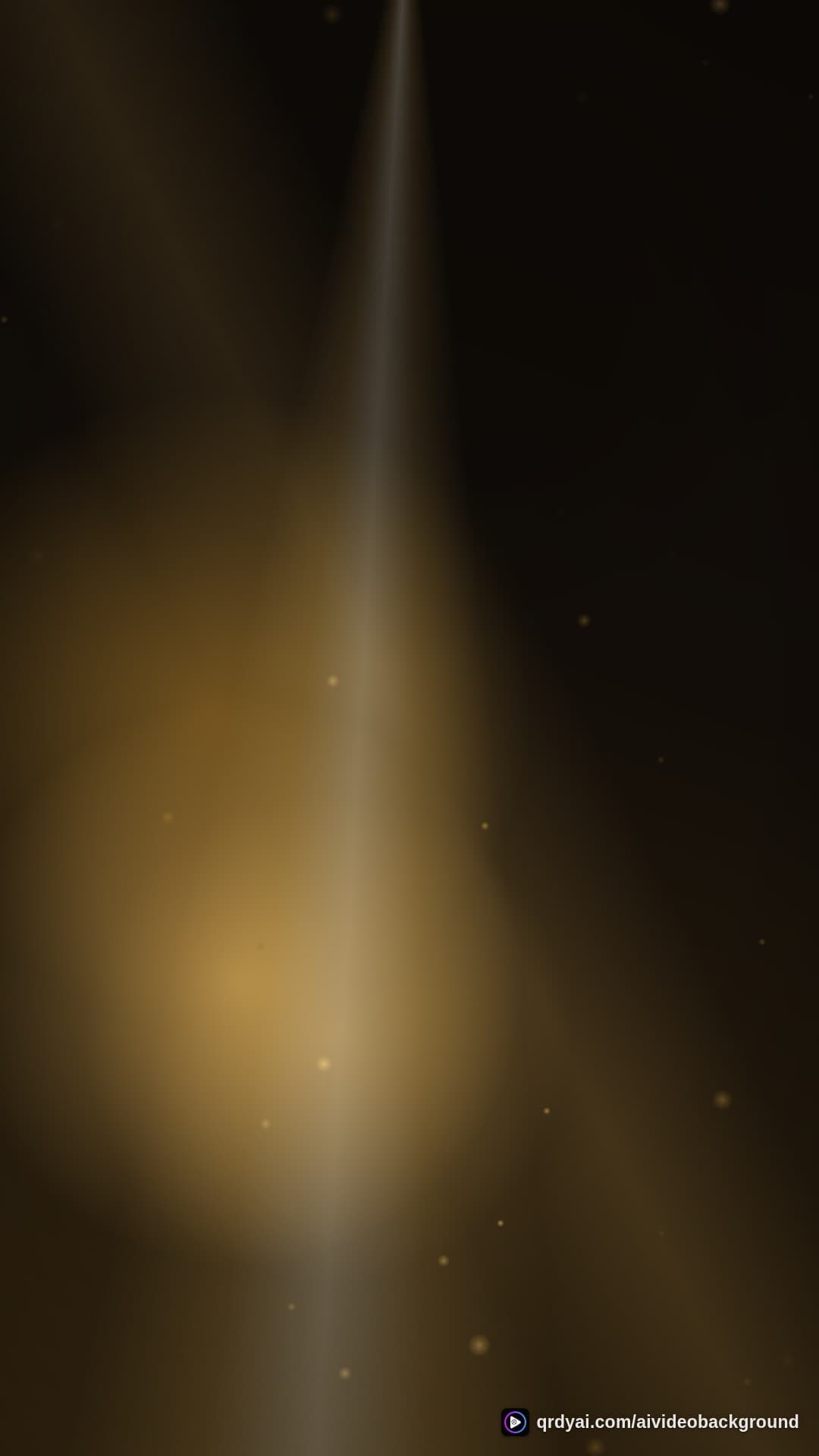 luxe gold portrait loop video background preview