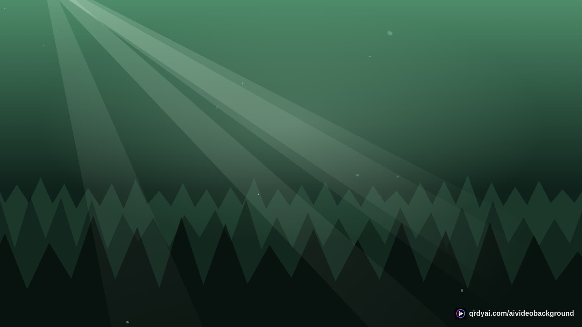 forest sunbeam landscape loop video background preview