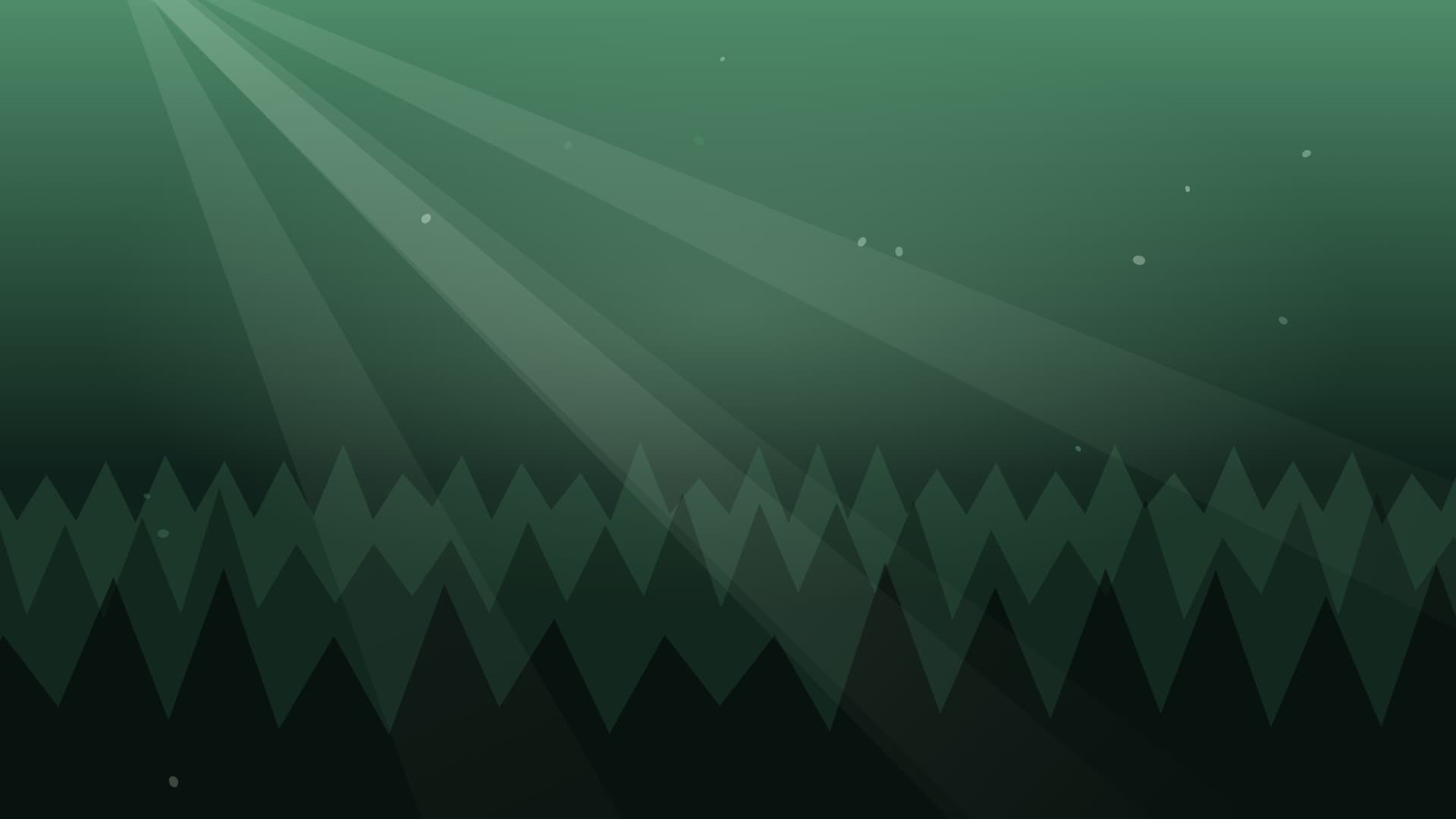 forest sunbeam landscape loop video background preview