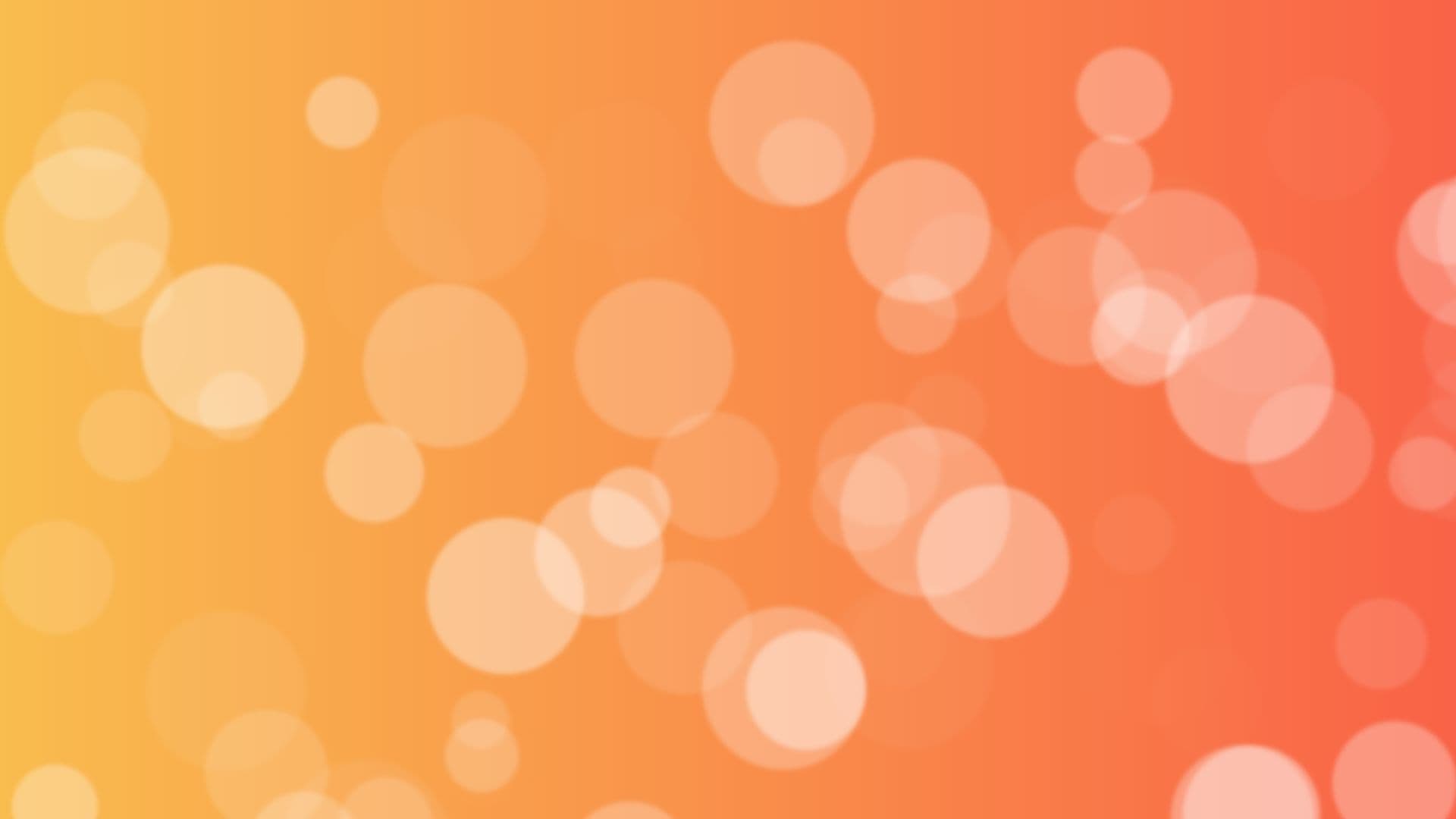 loop video  loop video background preview