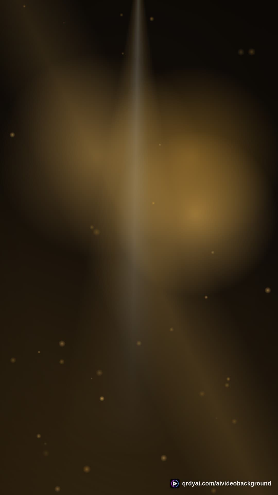 luxe gold portrait loop video background preview