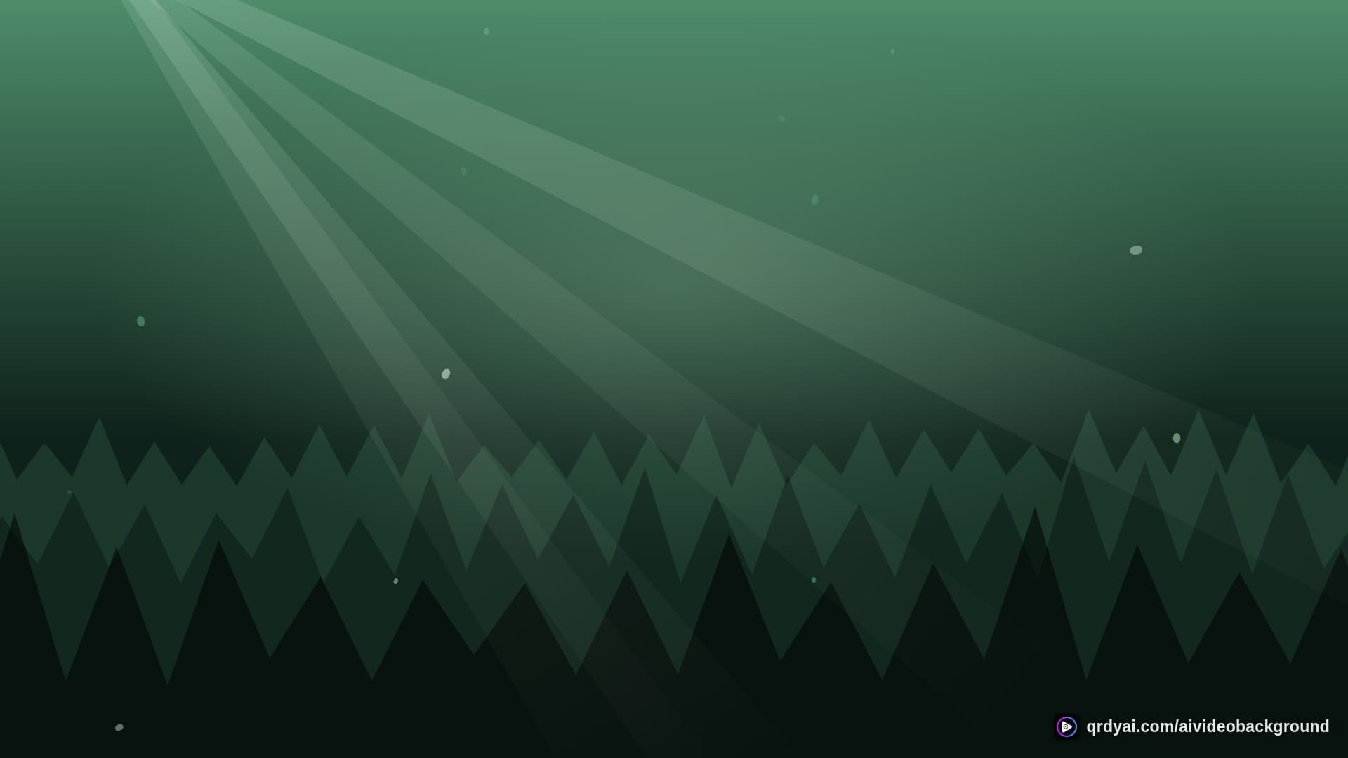 forest sunbeam landscape loop video background preview