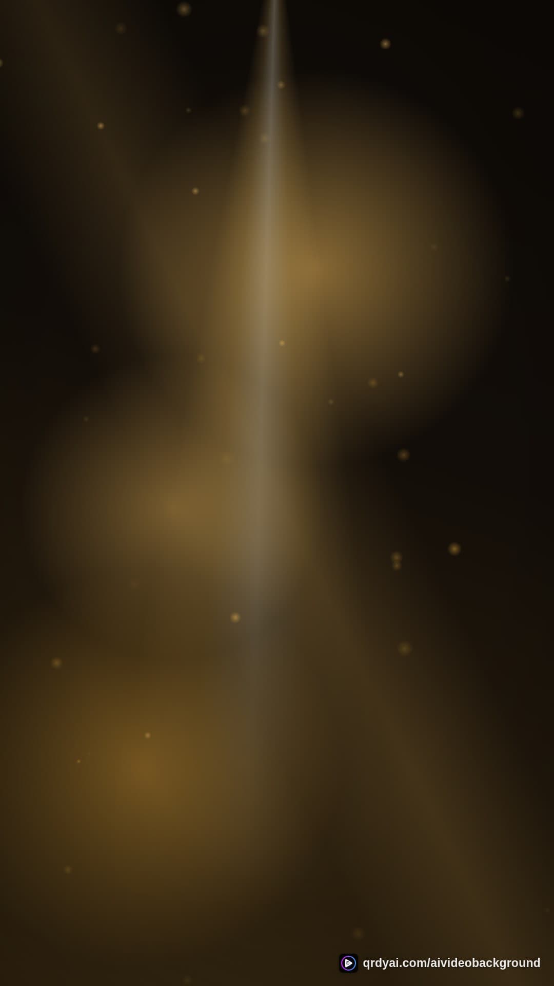 luxe gold portrait loop video background preview