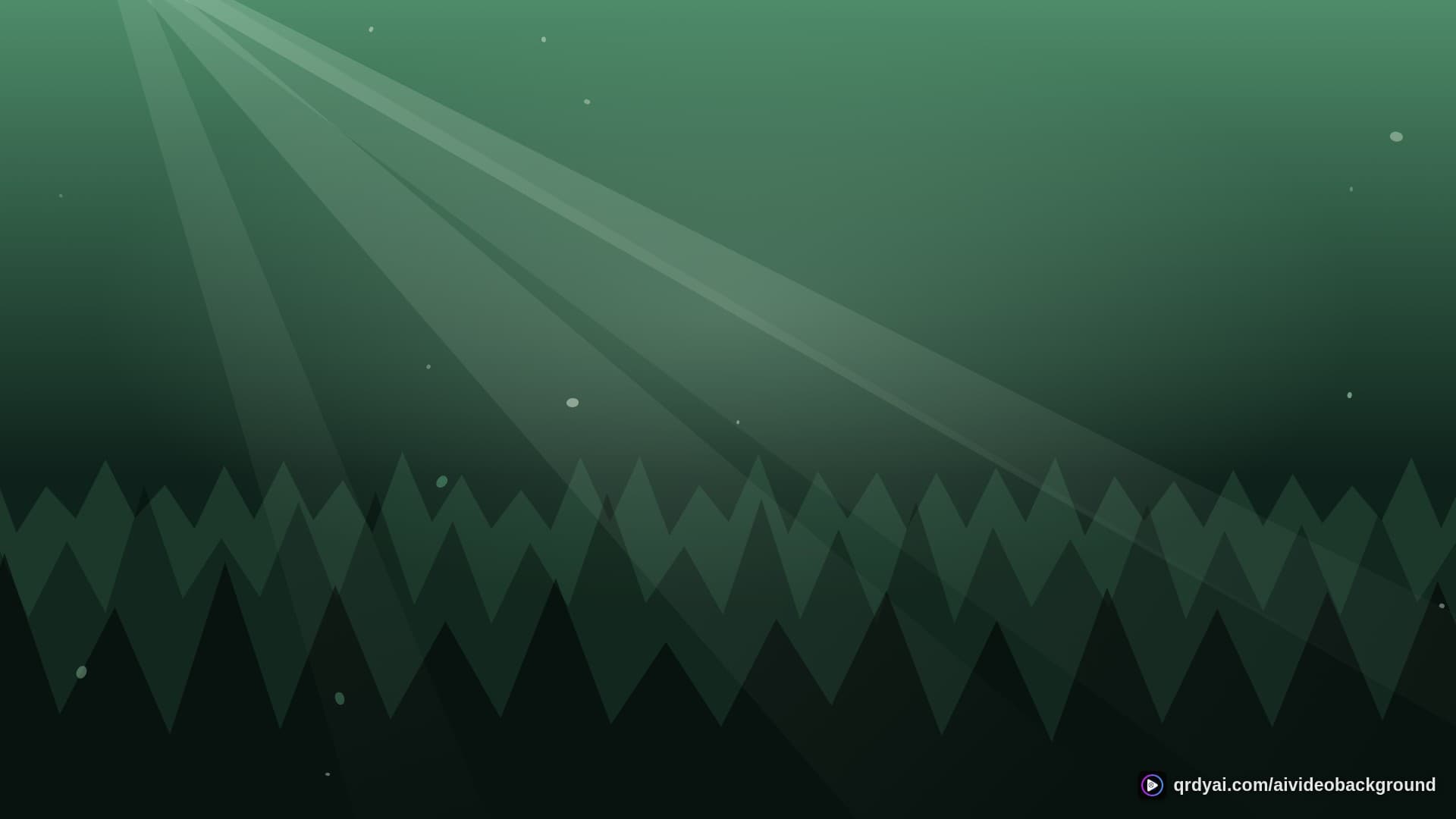 forest sunbeam landscape loop video background preview