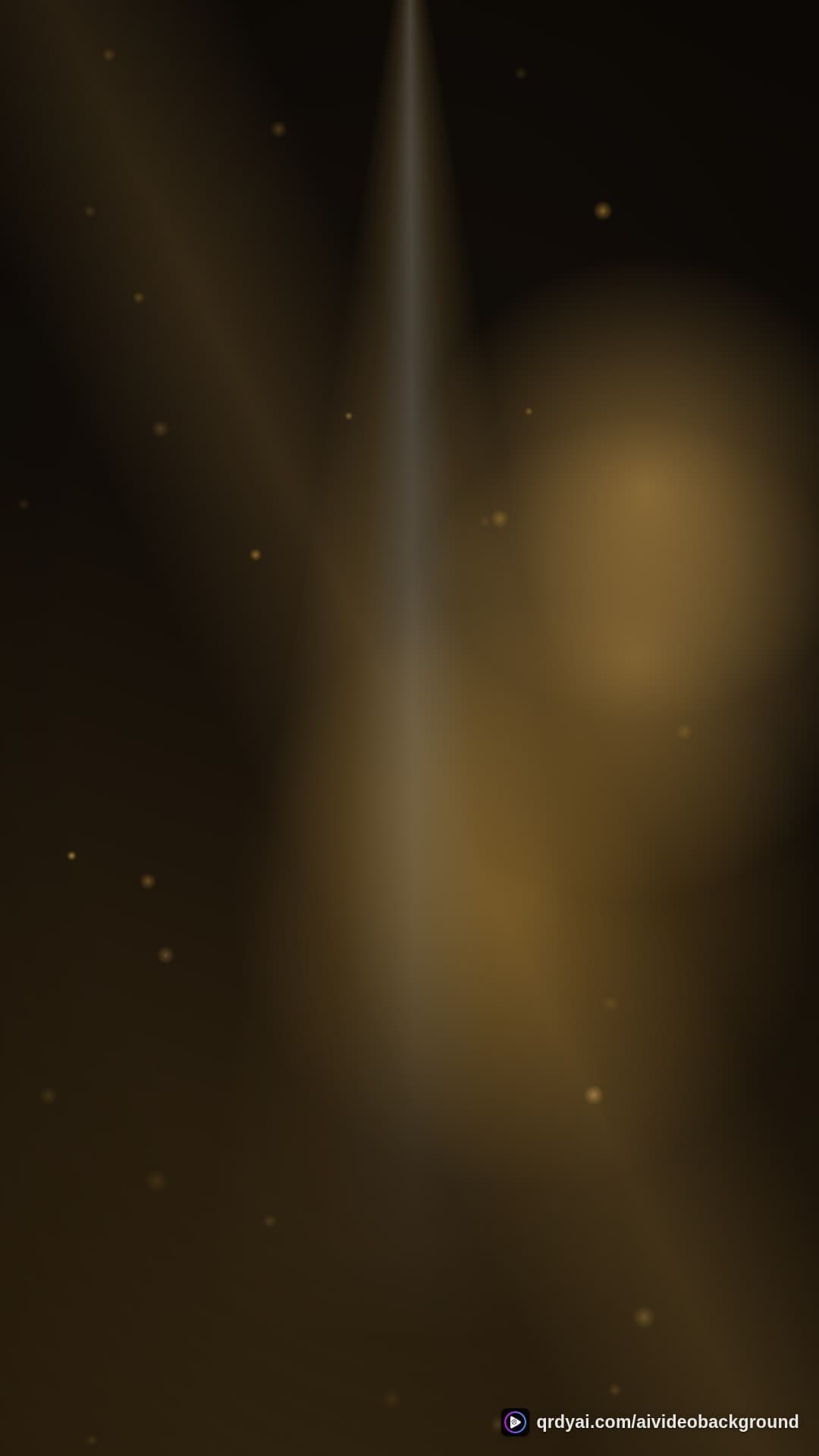 luxe gold portrait loop video background preview